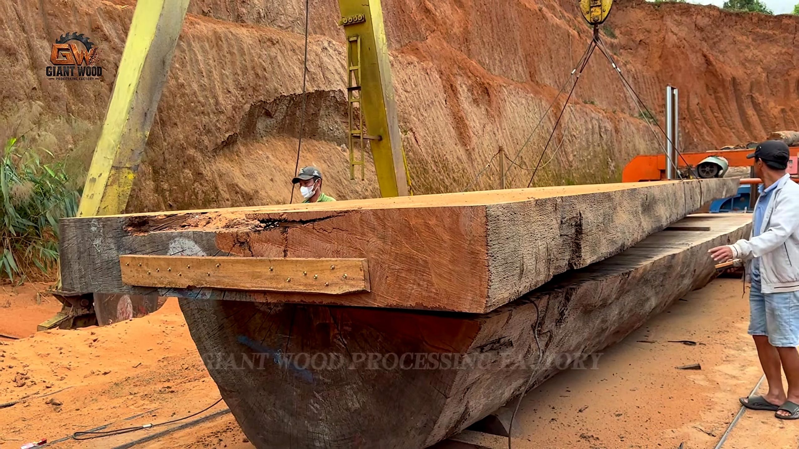 giant fallen tree bandsaw slab recovery - recovered thick slabs arranged for yield and defect review at 3436.07 seconds