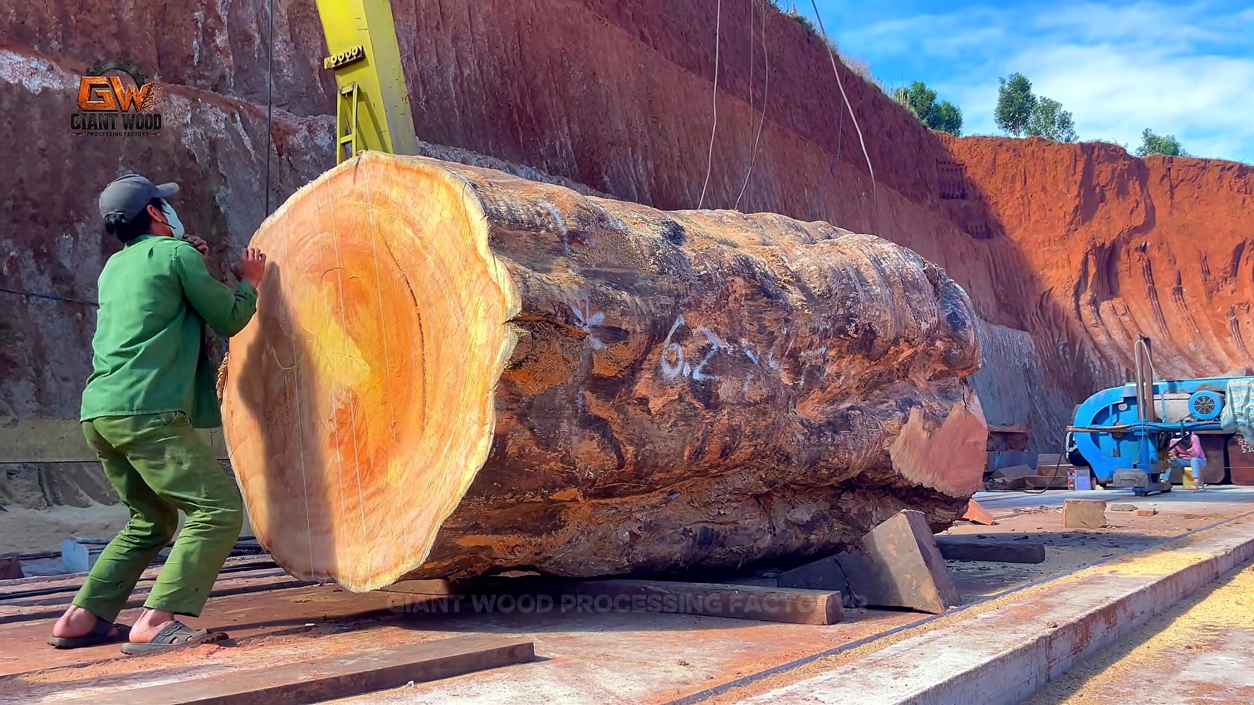 giant log bandsaw milling live edge slabs - handheld chainsaw work at the bark-side surface