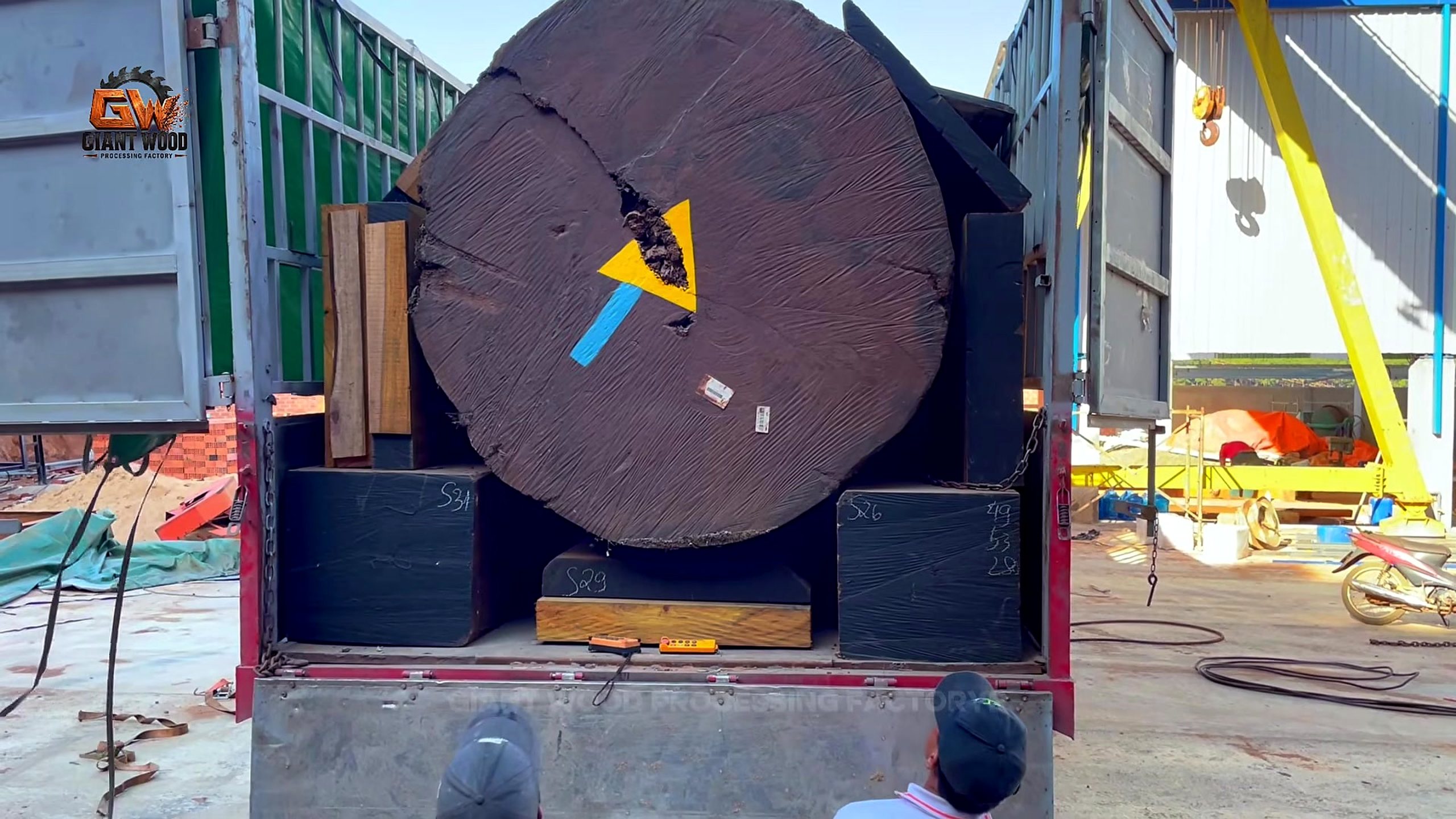 giant log bandsaw milling live edge slabs - the giant log end supported at the open shipping-container threshold