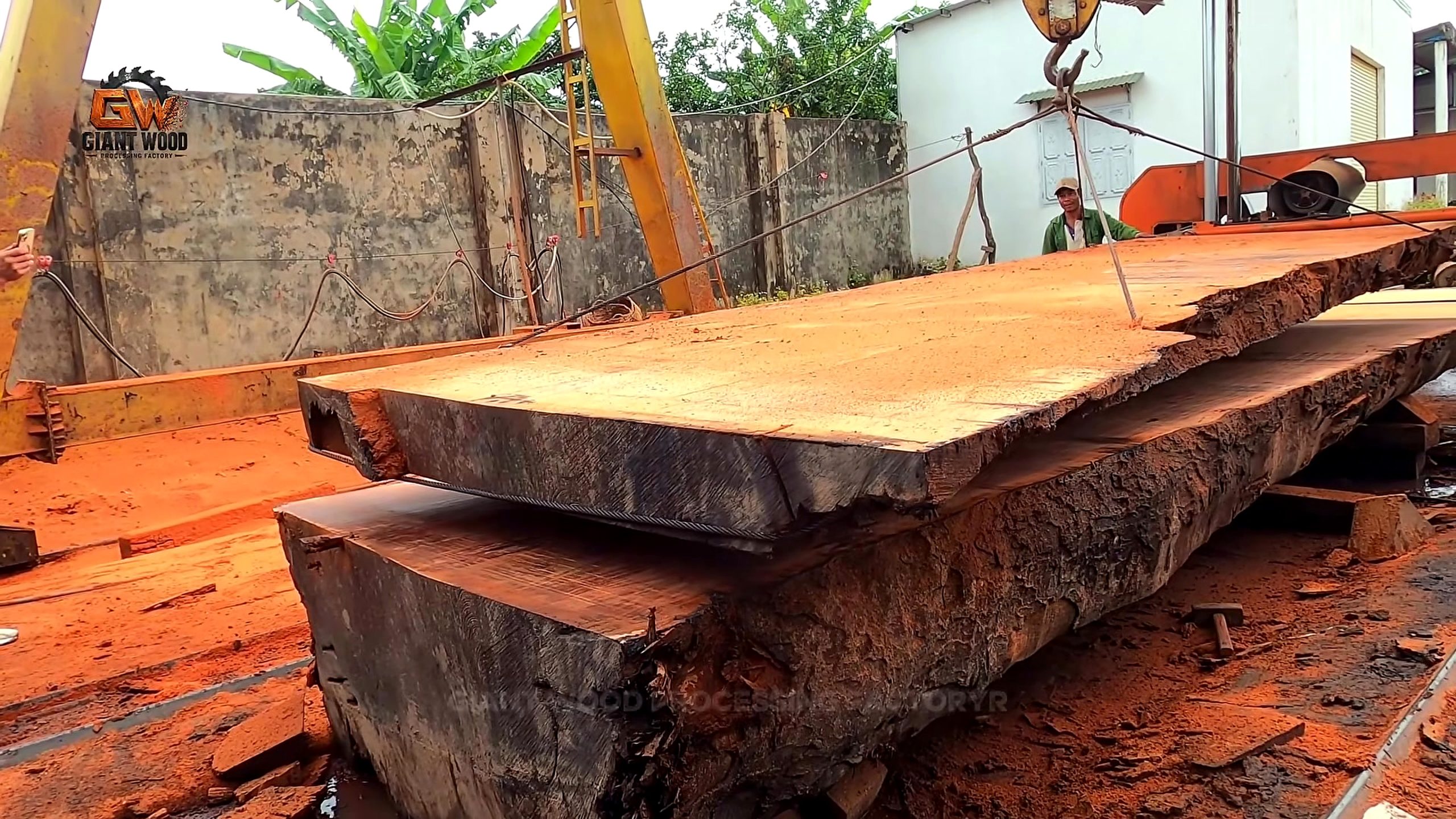 giant log bandsaw milling live edge slabs - broad live-edge slabs stacked after primary breakdown