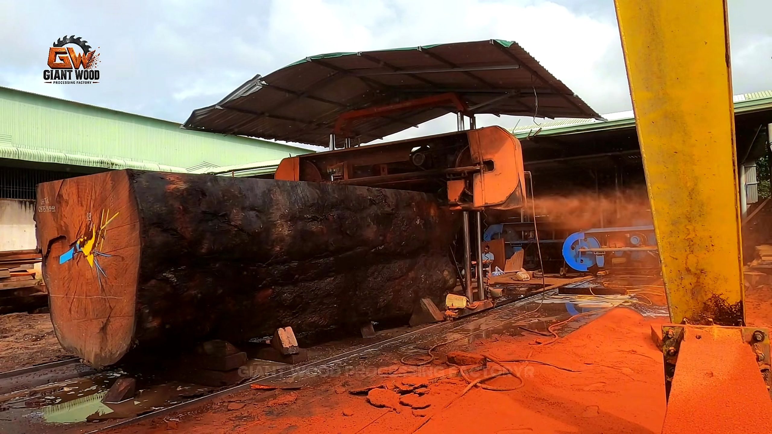 giant log bandsaw milling live edge slabs - the giant log positioned at the blue vertical bandsaw