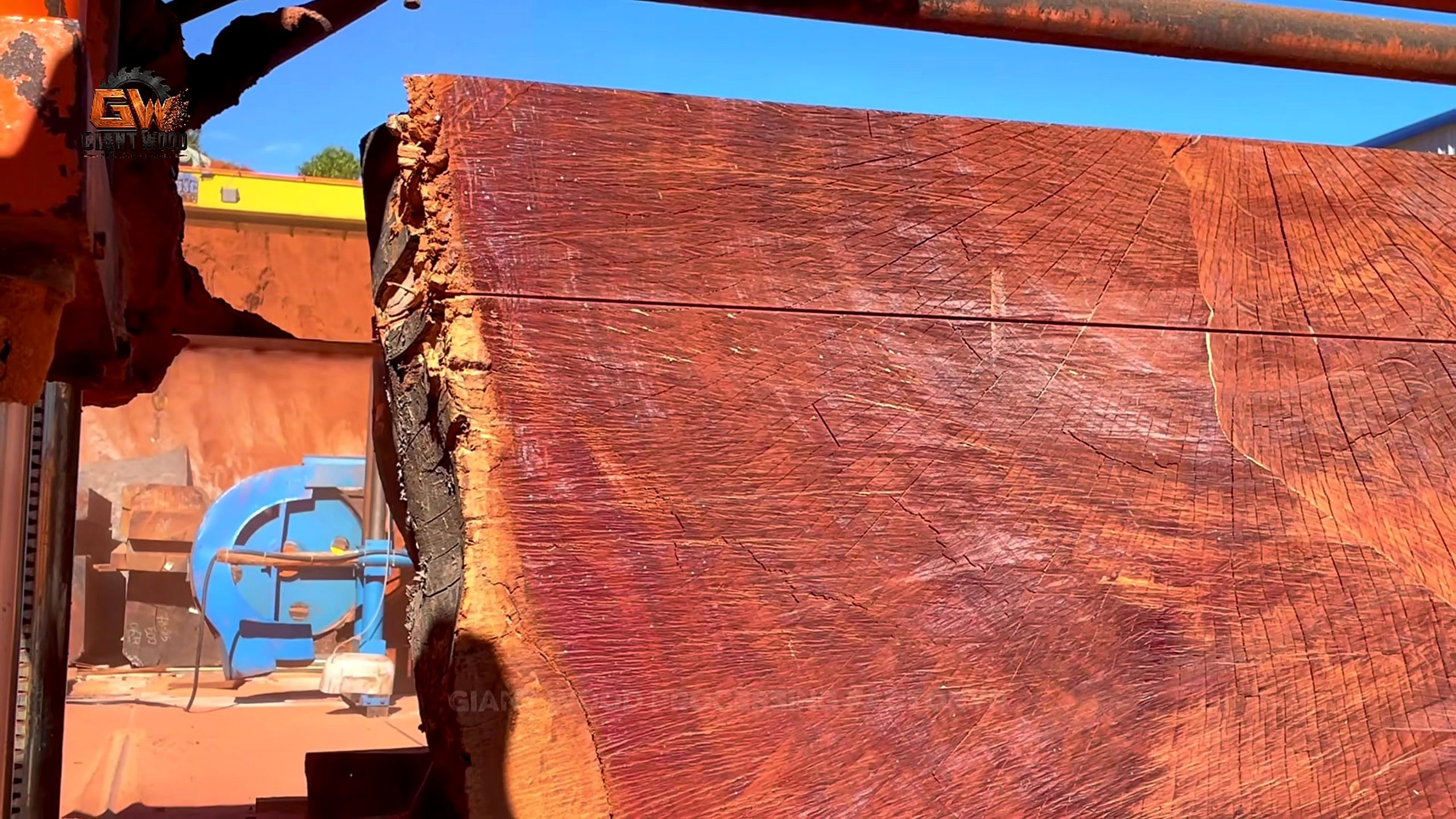 giant log vertical bandsaw sculptural table process - the broad reddish reference face with saw marks and a large curved layout line