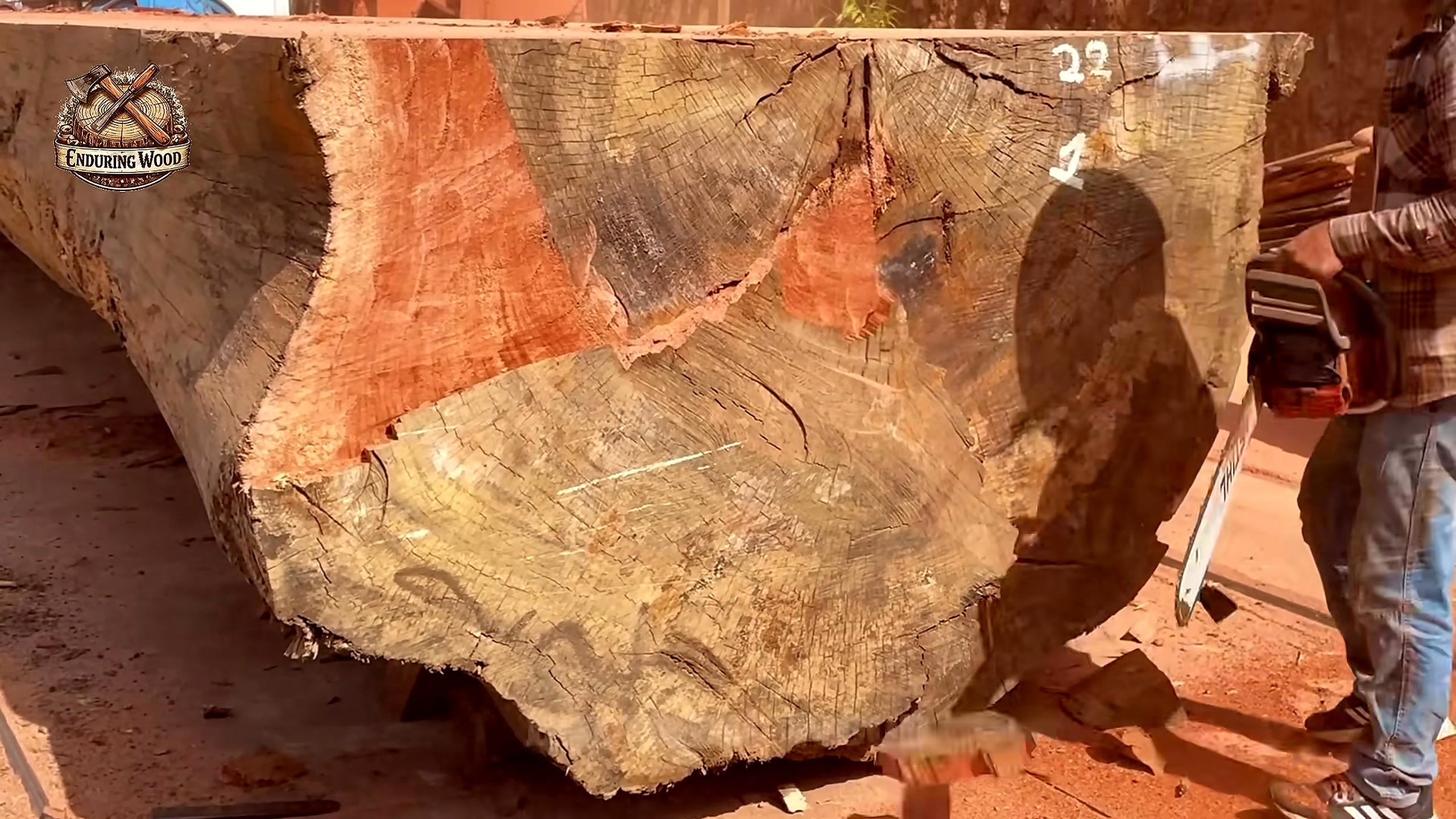 giant timber processing - a detail-check moment that helps readers inspect the process