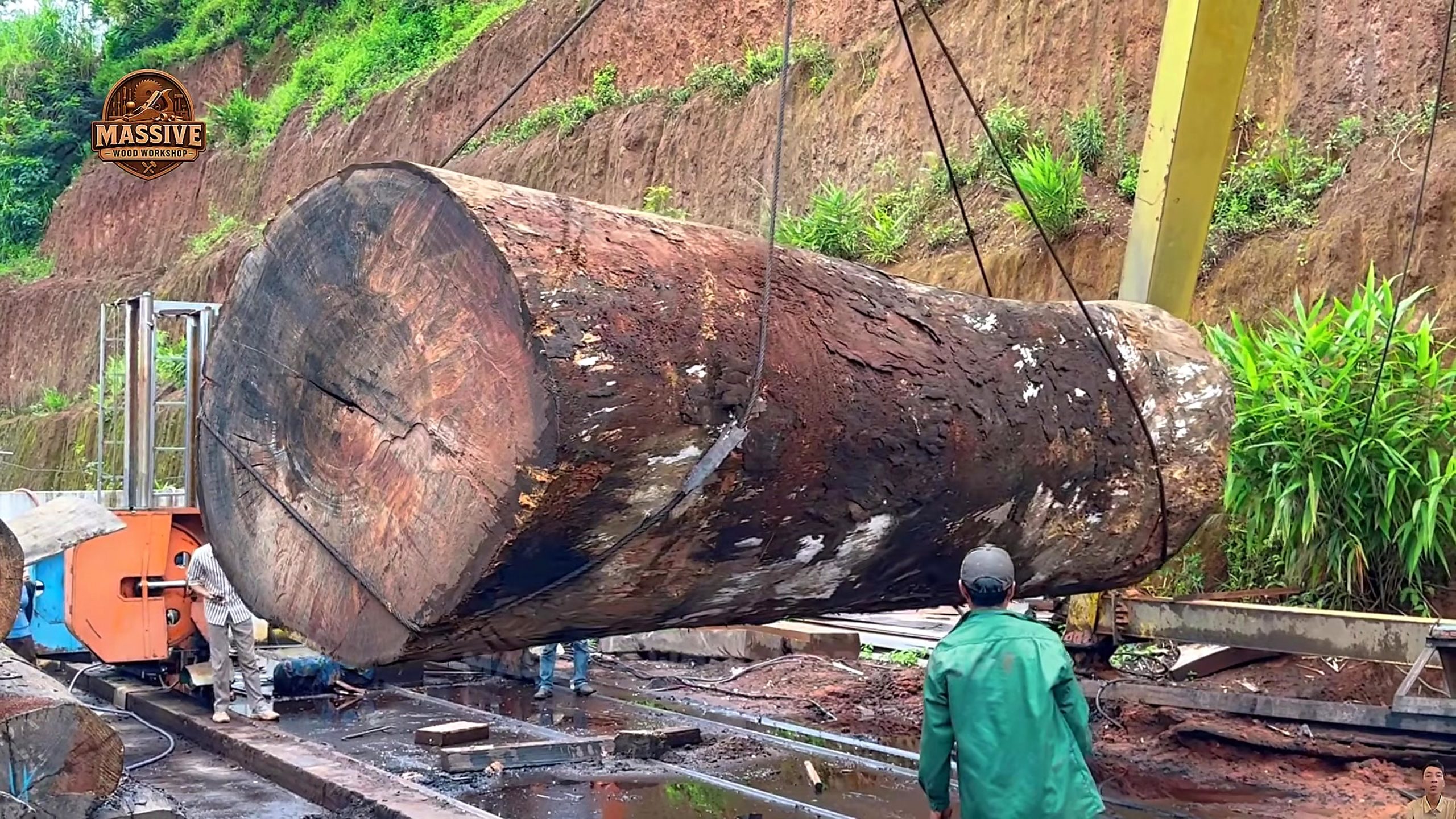 industrial sawmill - the source video context before the main process is judged
