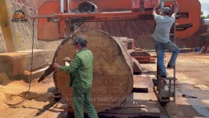 inside million wood factory giant log - YouTube original thumbnail