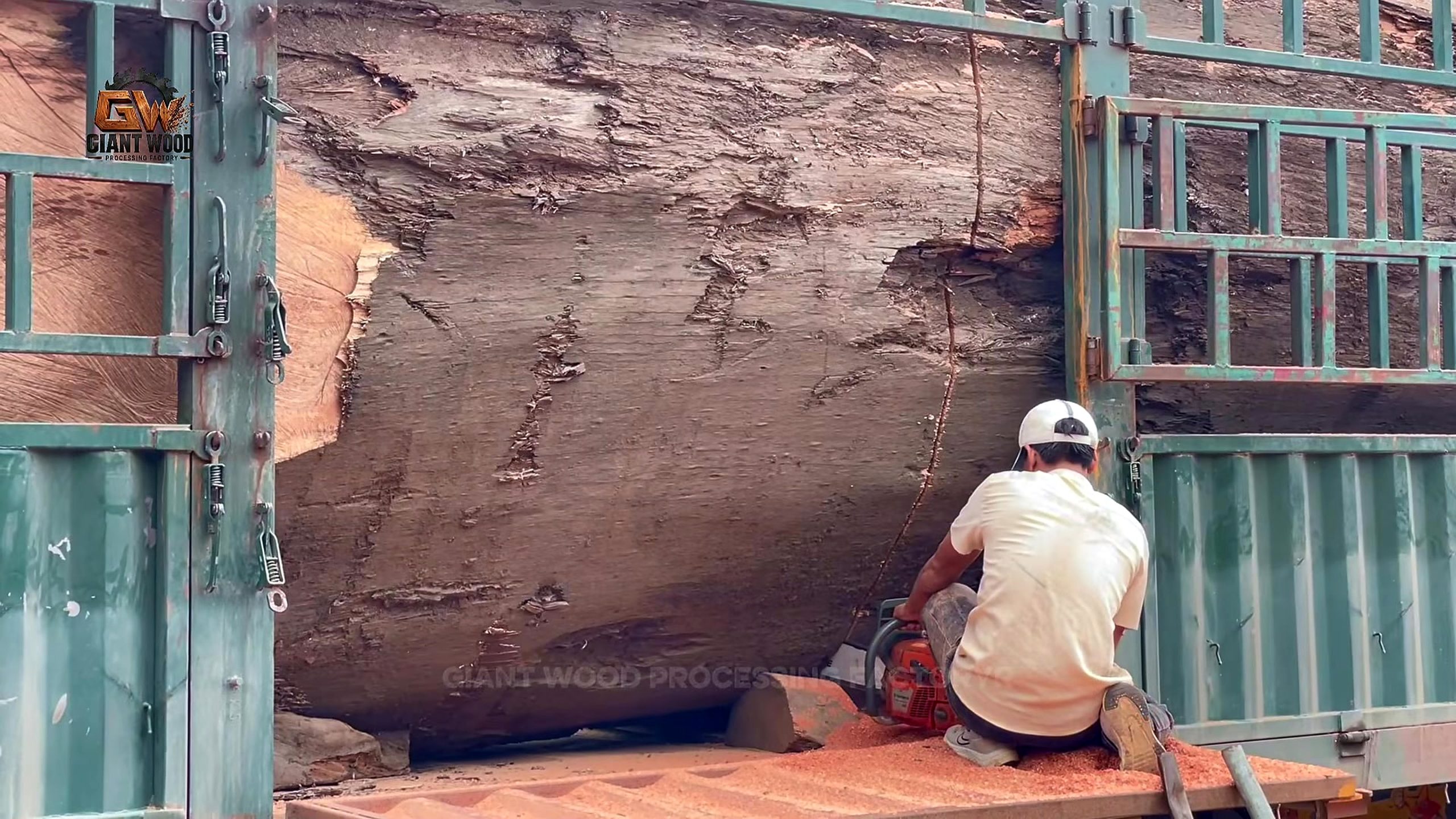 oversize log bandsaw mill process - a localized chainsaw access cut on oversize timber at an open container doorway
