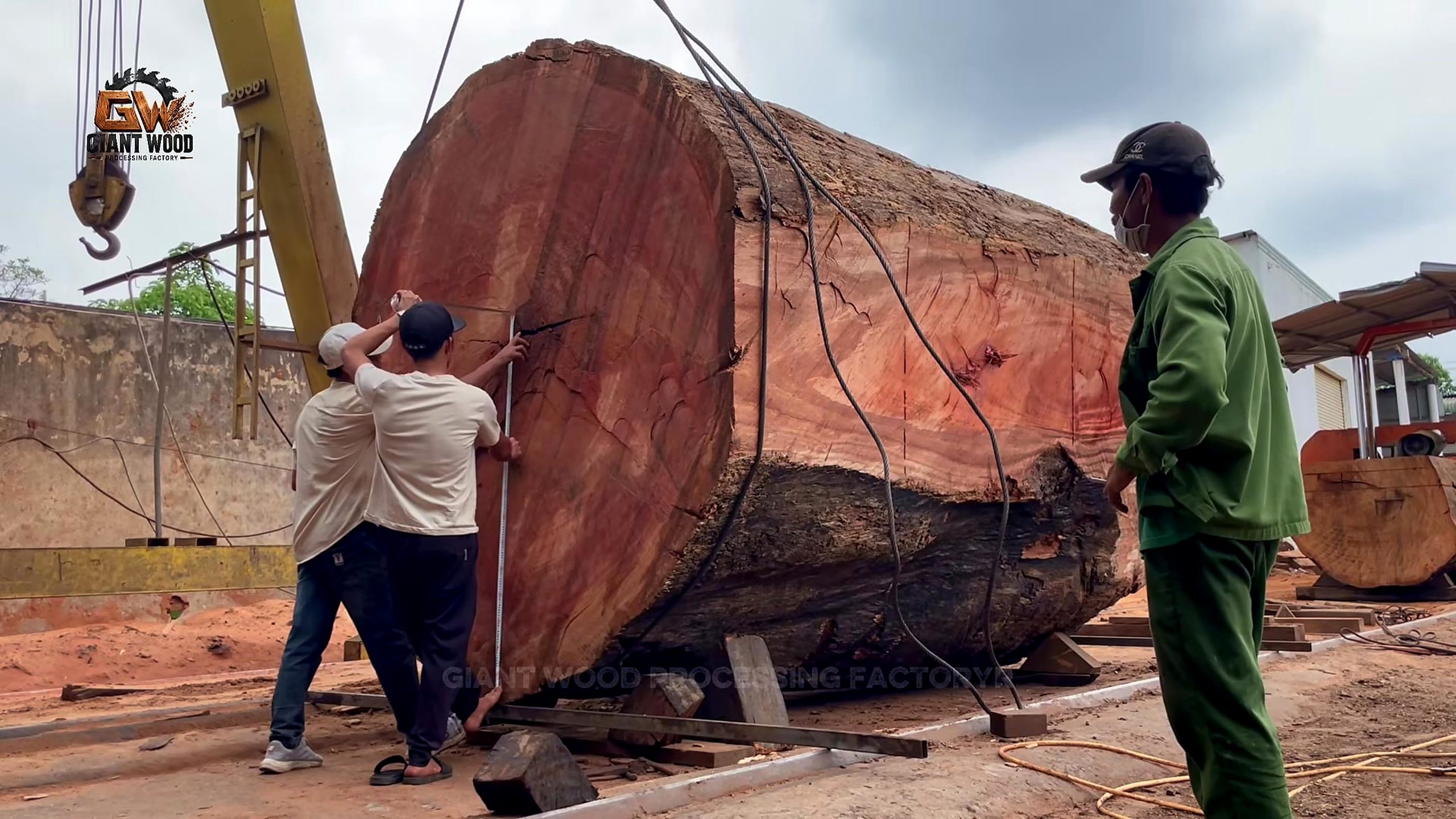 oversize log bandsaw mill process - a crane and helpers rotating the oversize round log before bandsaw positioning