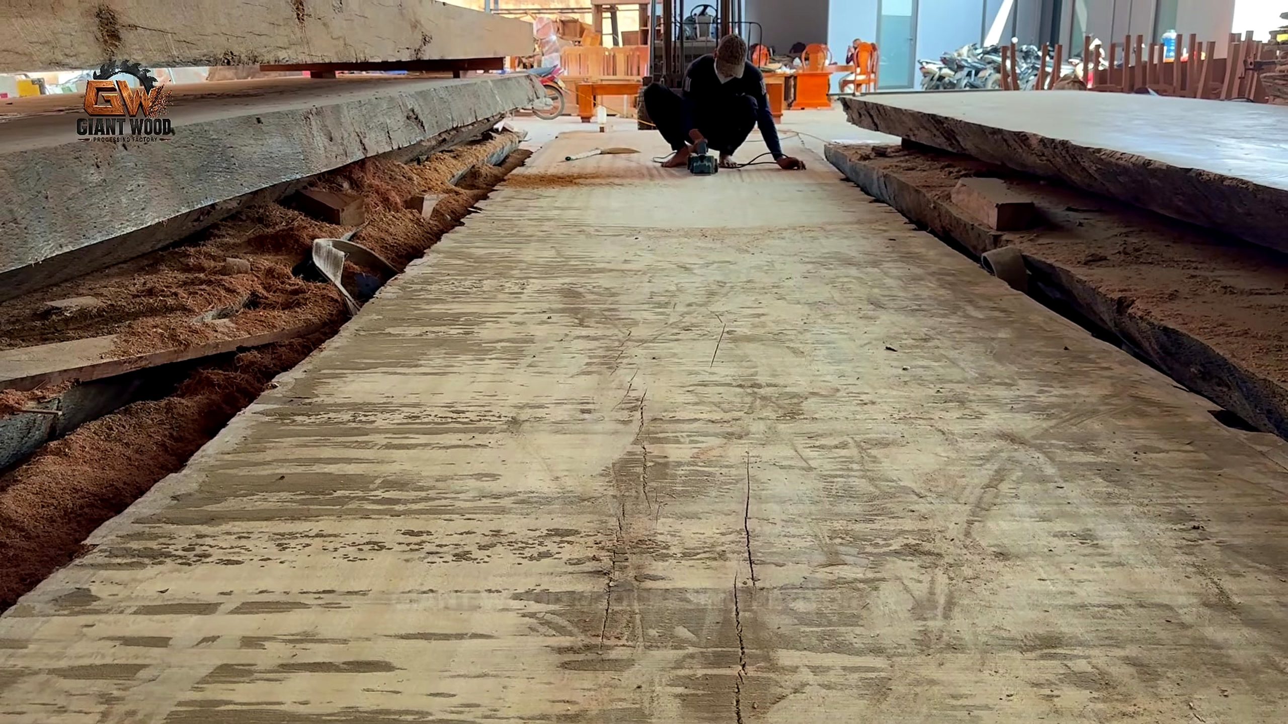 oversize log bandsaw mill process - released broad slabs laid out for flatness, surface, and defect inspection