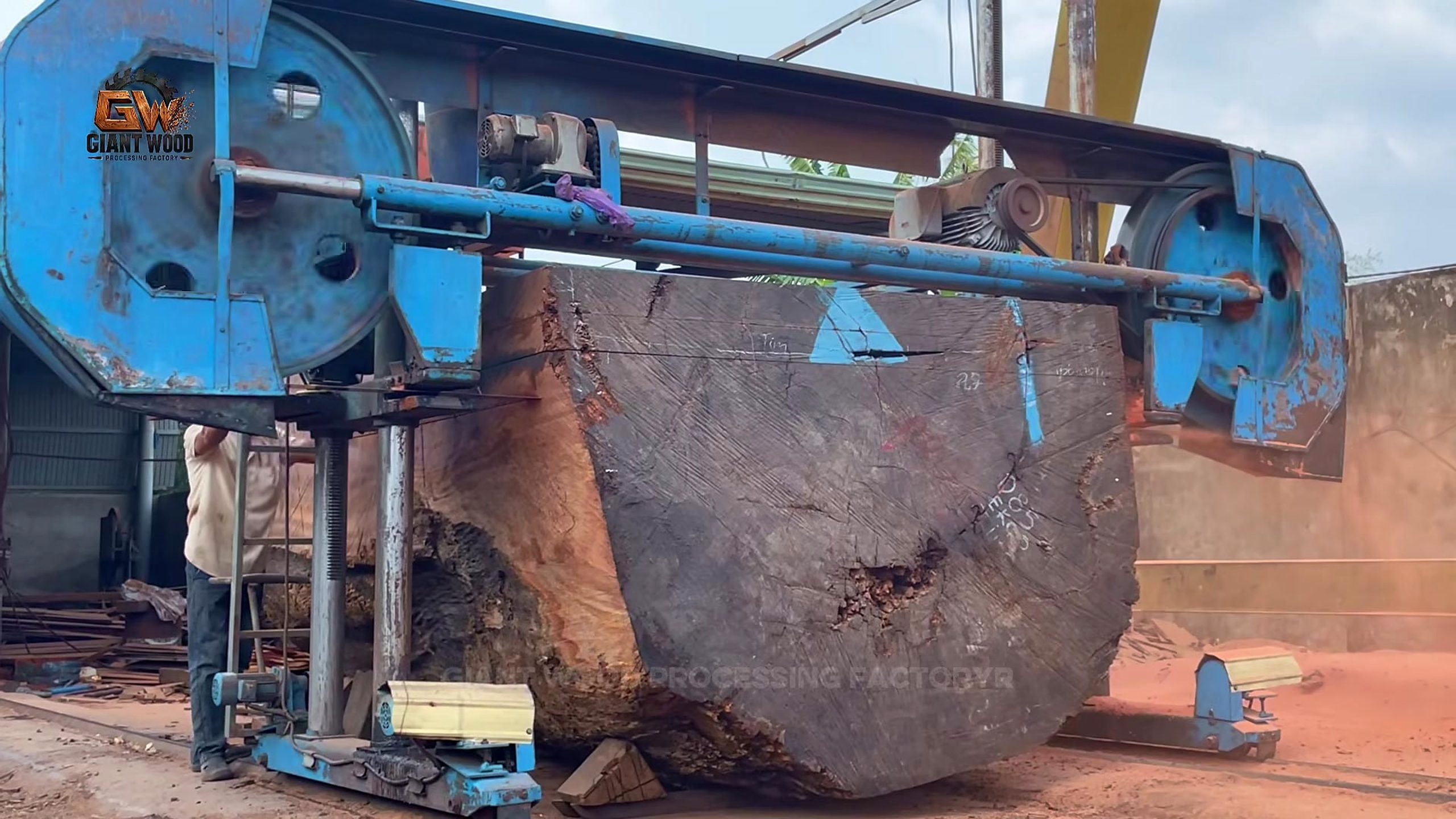 oversize log bandsaw mill process - the blue vertical bandsaw opening a broad face on the supported log