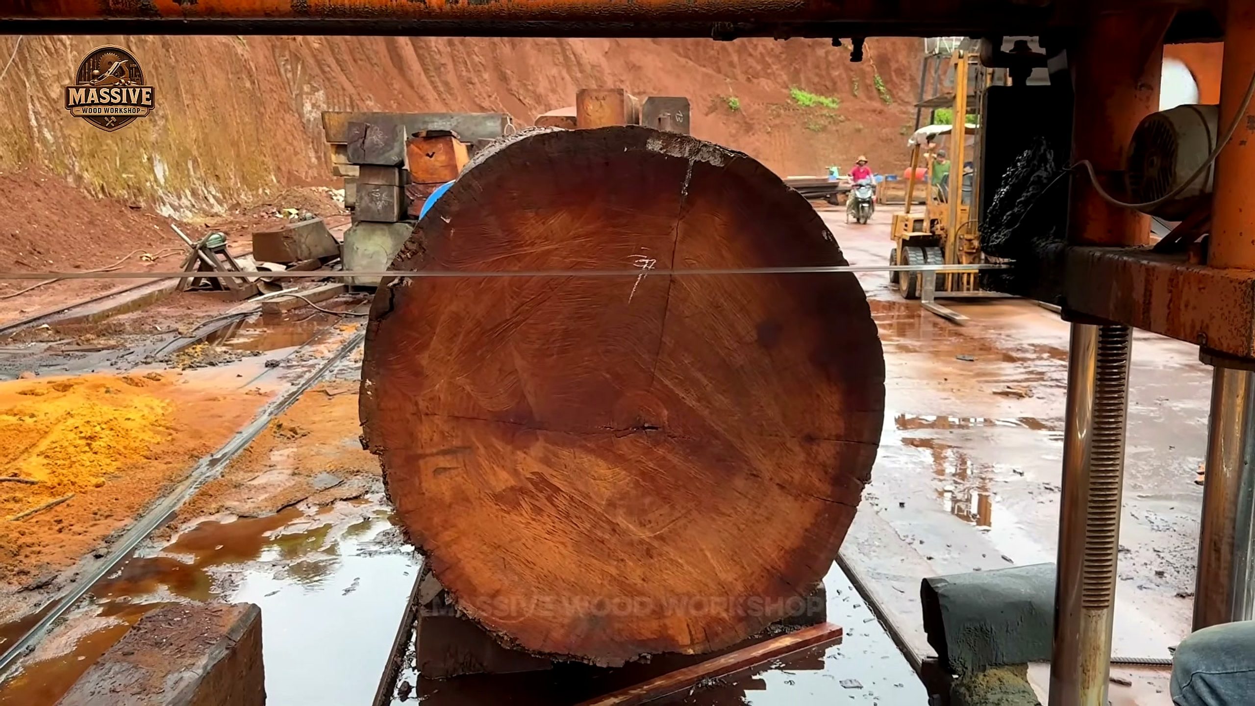1000-year-old giant timber under a travelling horizontal band saw