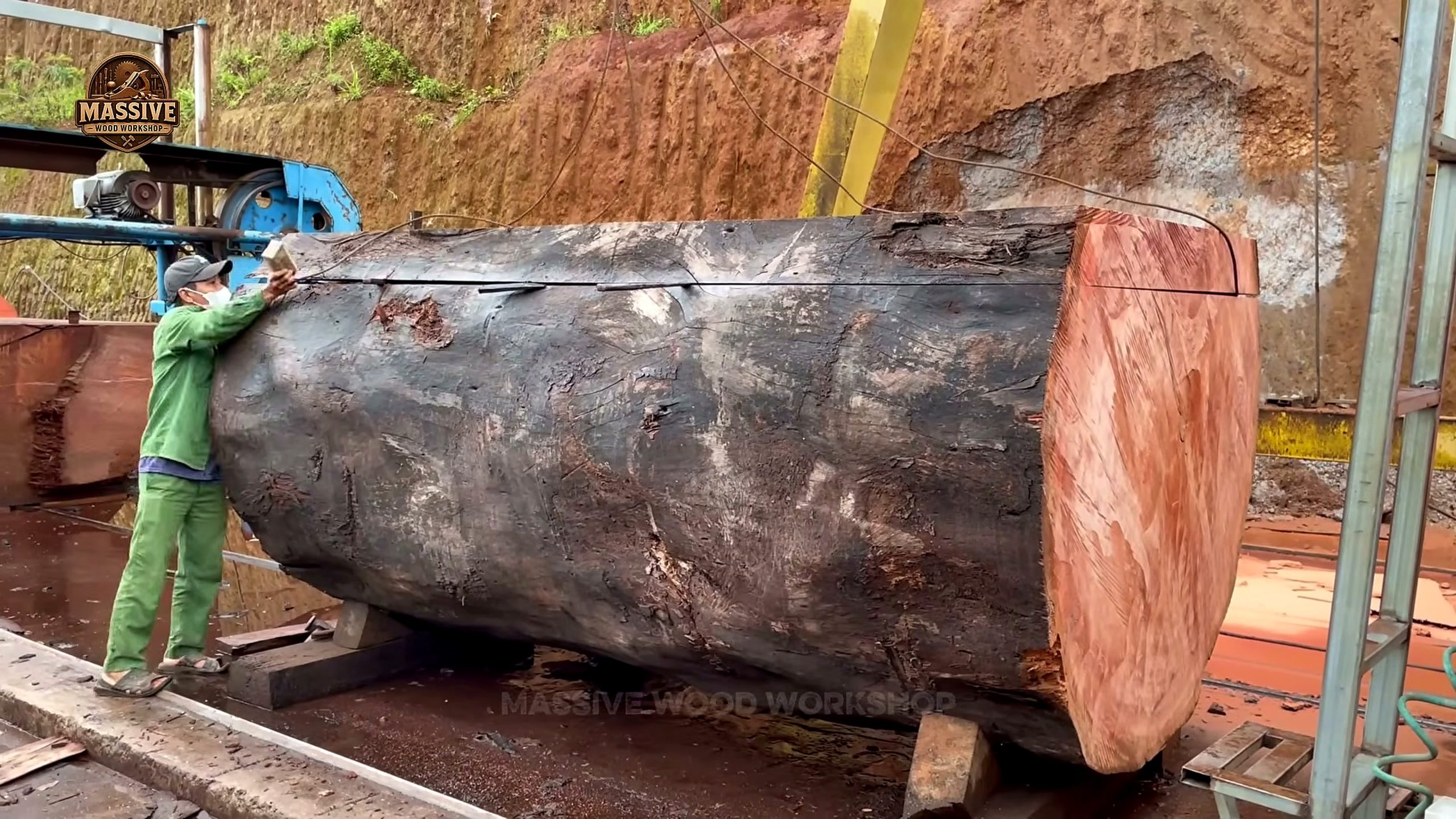 1000-year-old giant timber resting on the ground before the sawmill setup