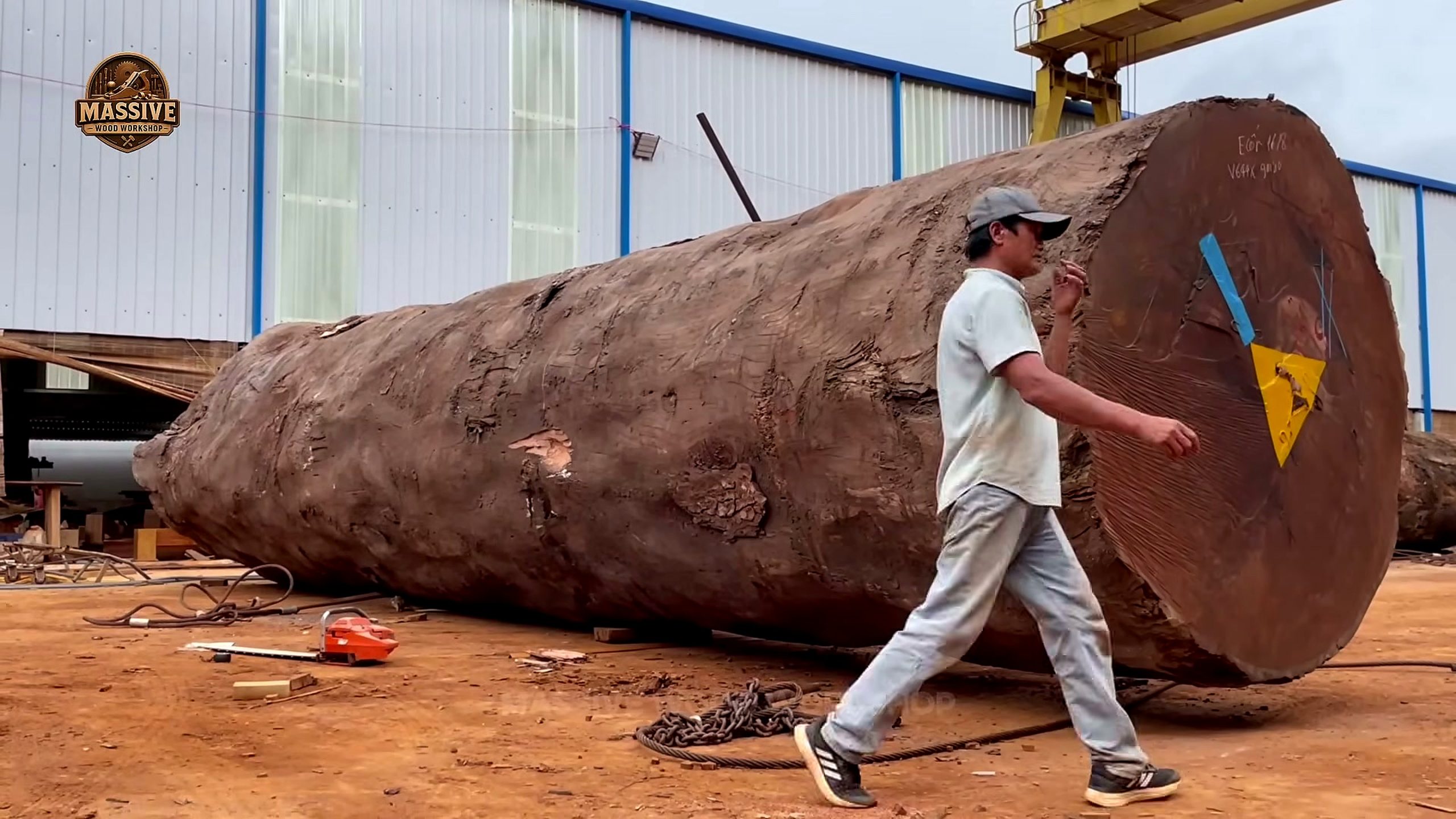 1000-year-old giant timber log arriving on a truck at the milling yard