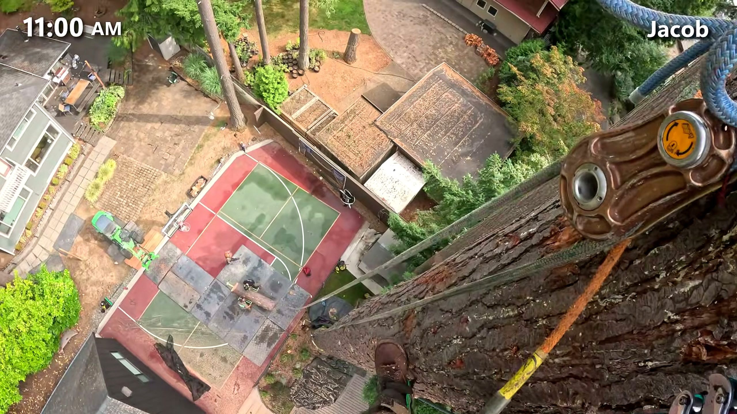 170 tall fir tree - a detail-check moment that helps readers inspect the process