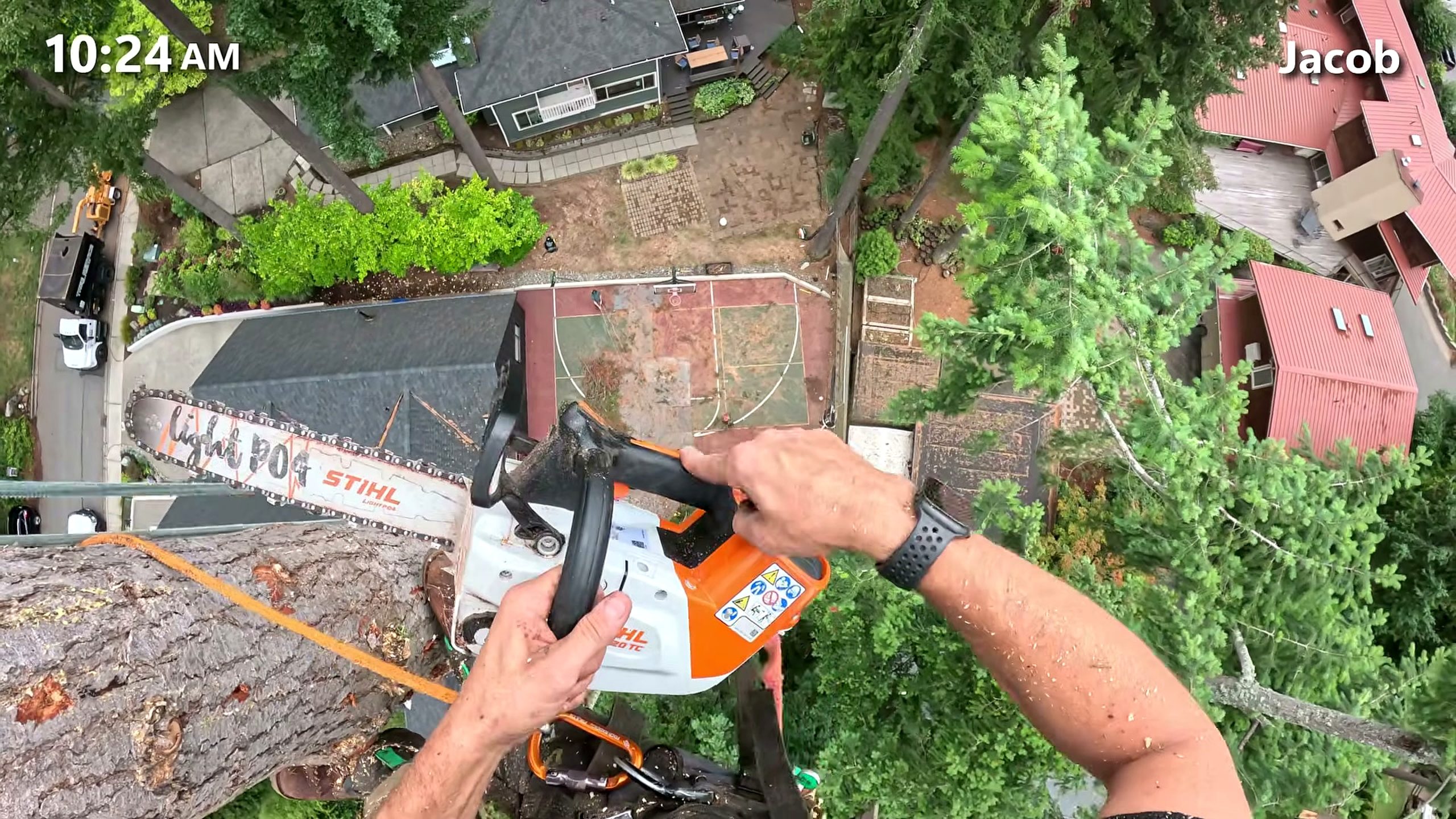 170 tall fir tree - the setup or early workflow visible in the source video