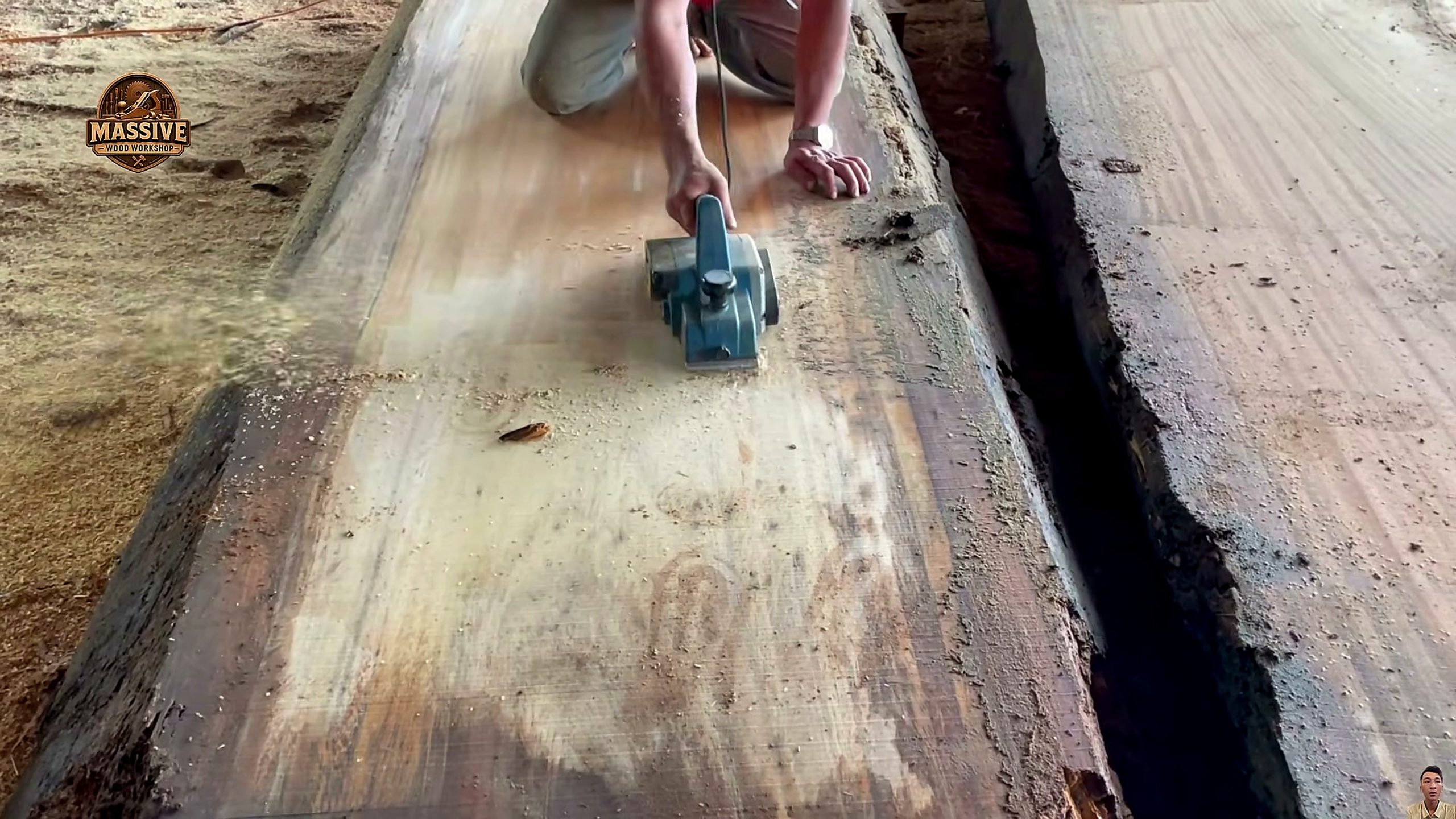 3000-year-old giant tree - a detail-check moment that helps readers inspect the process