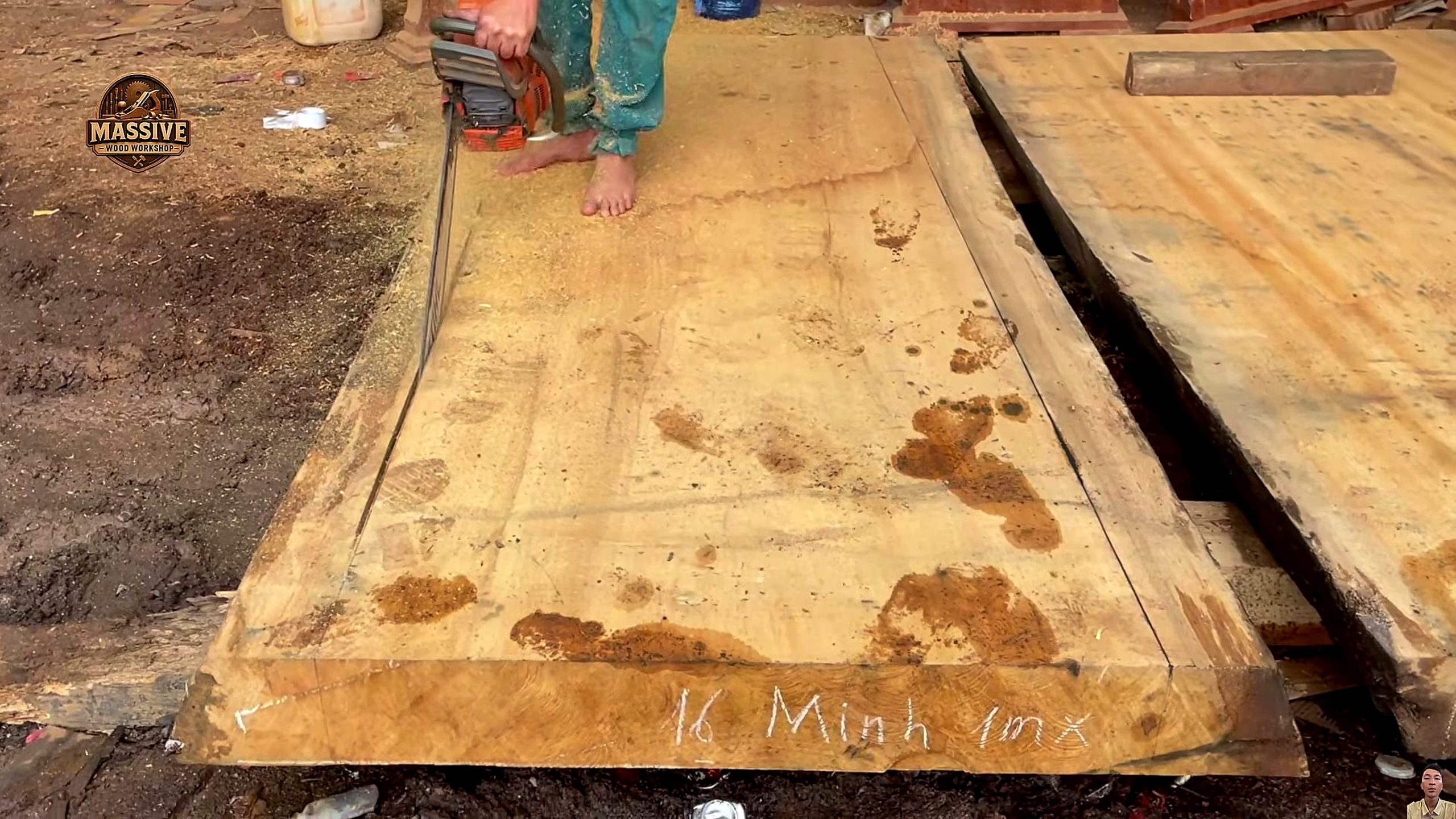 3000-year-old giant tree - the main work stage that carries the video's practical lesson
