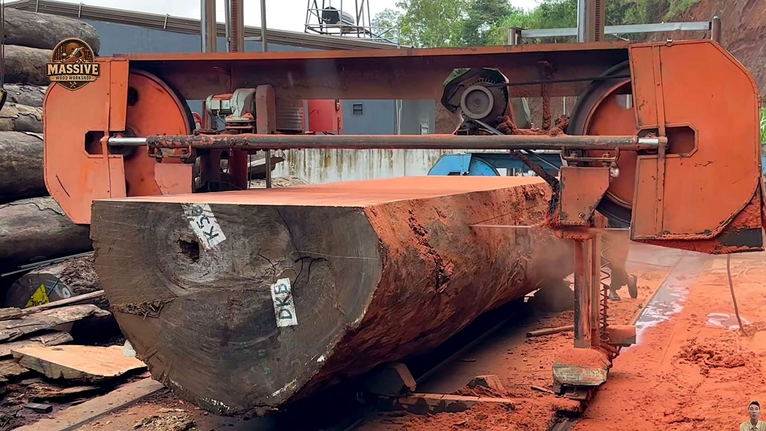 4000-year-old giant tree - the setup or early workflow visible in the source video