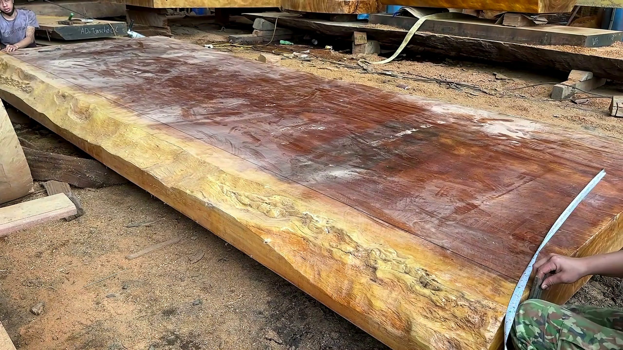 5000-year-old log - a detail-check moment that helps readers inspect the process
