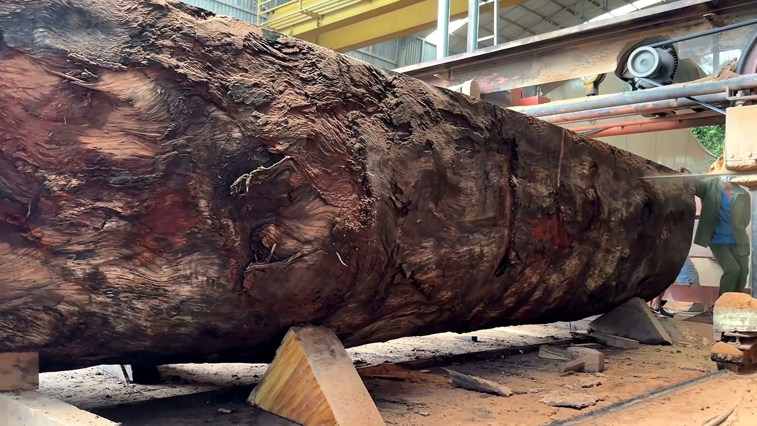 5000-year-old log - the main work stage that carries the video's practical lesson