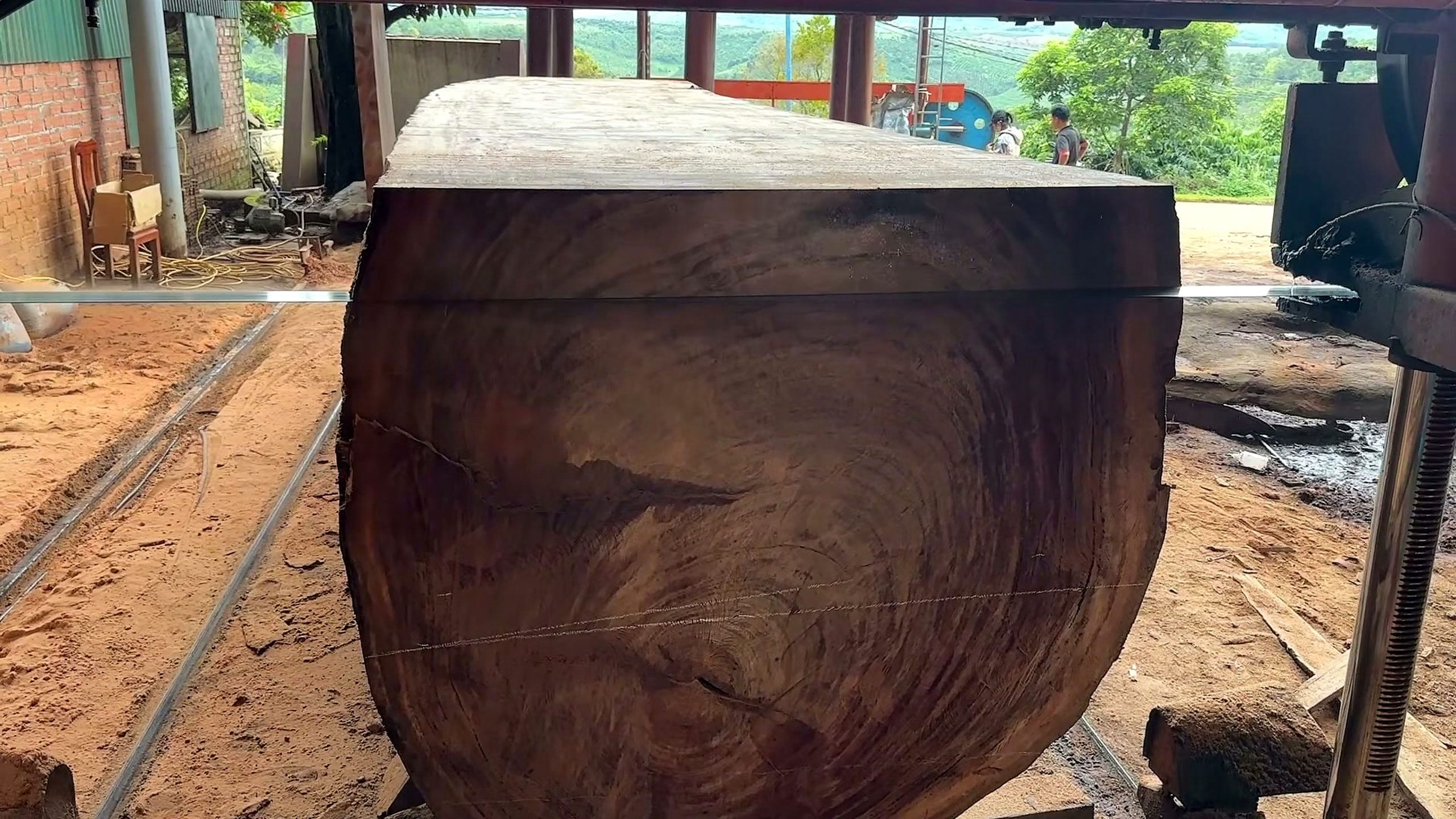 5000-year-old log - the setup or early workflow visible in the source video