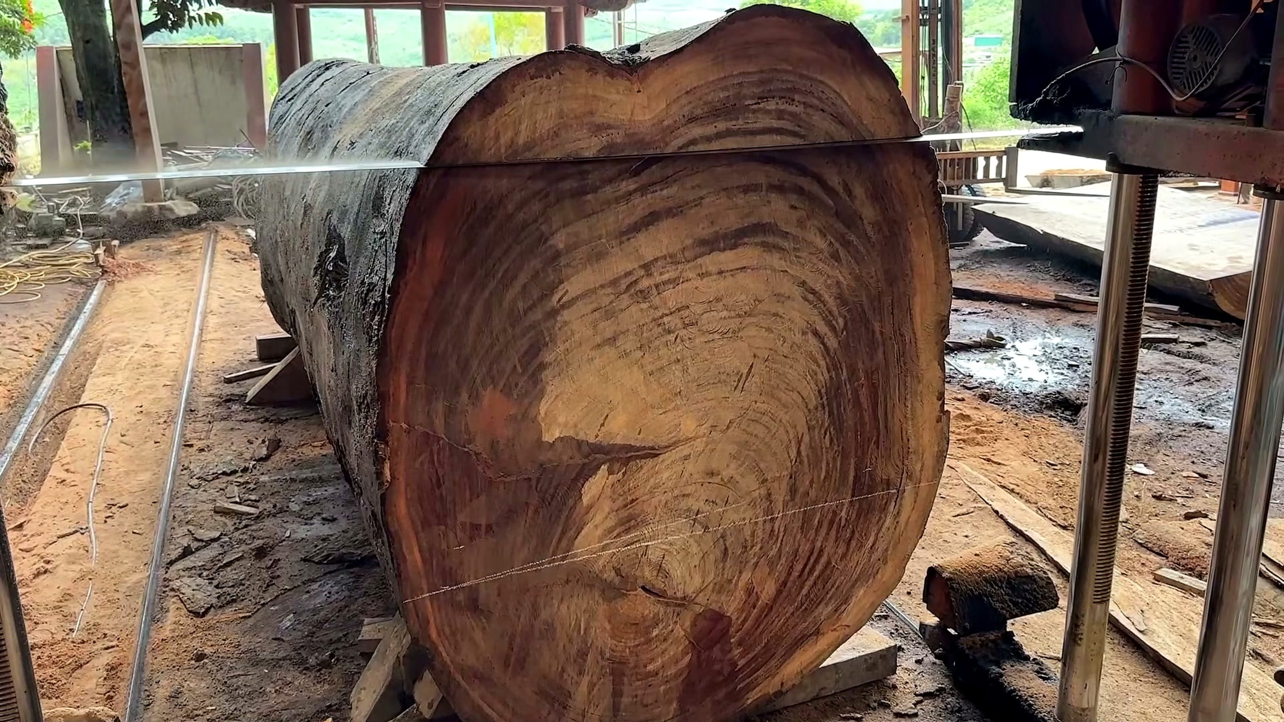 5000-year-old log - the source video context before the main process is judged