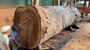 5000-year-old log - YouTube original thumbnail
