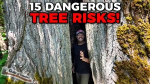 dangerous things you should know about - YouTube original thumbnail