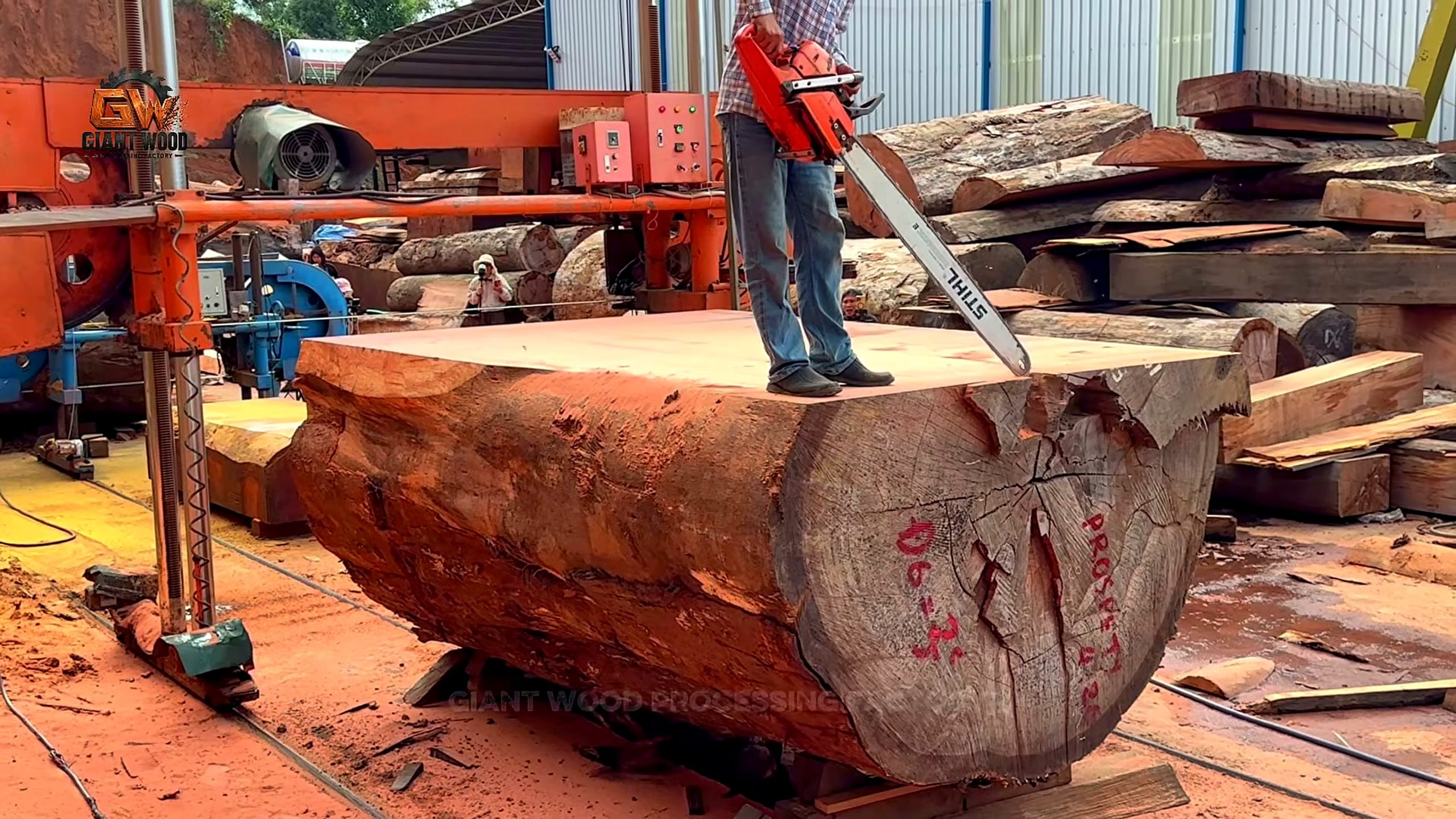 forgotten timber - a detail-check moment that helps readers inspect the process