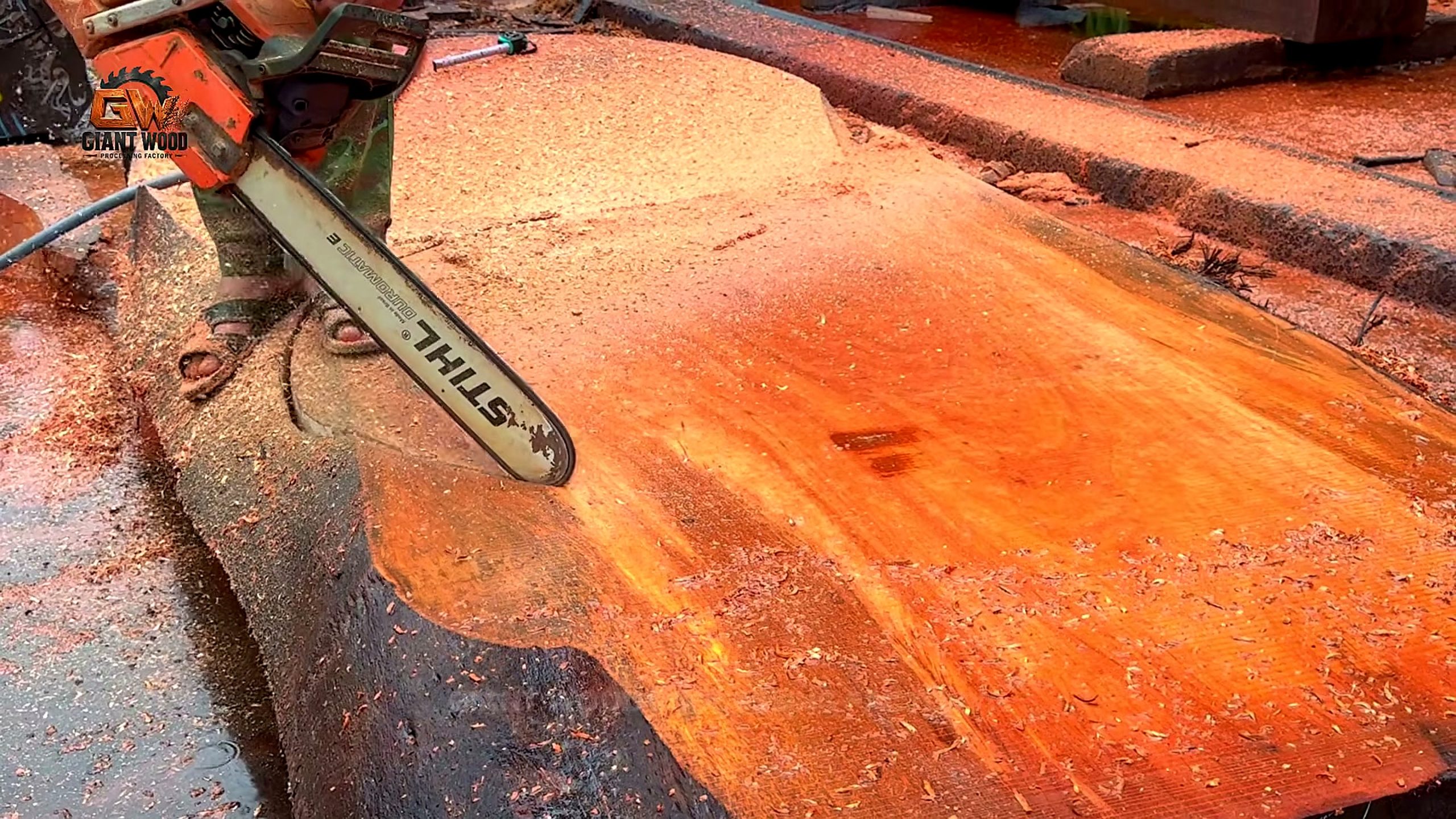 forgotten timber - the later review stage where the result can be evaluated