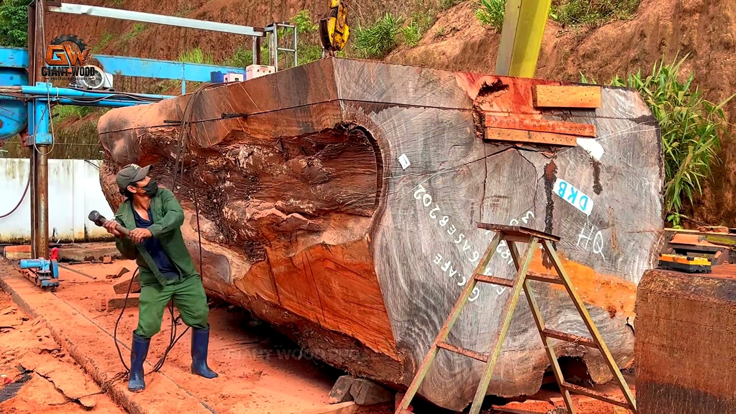 forgotten timber - the setup or early workflow visible in the source video
