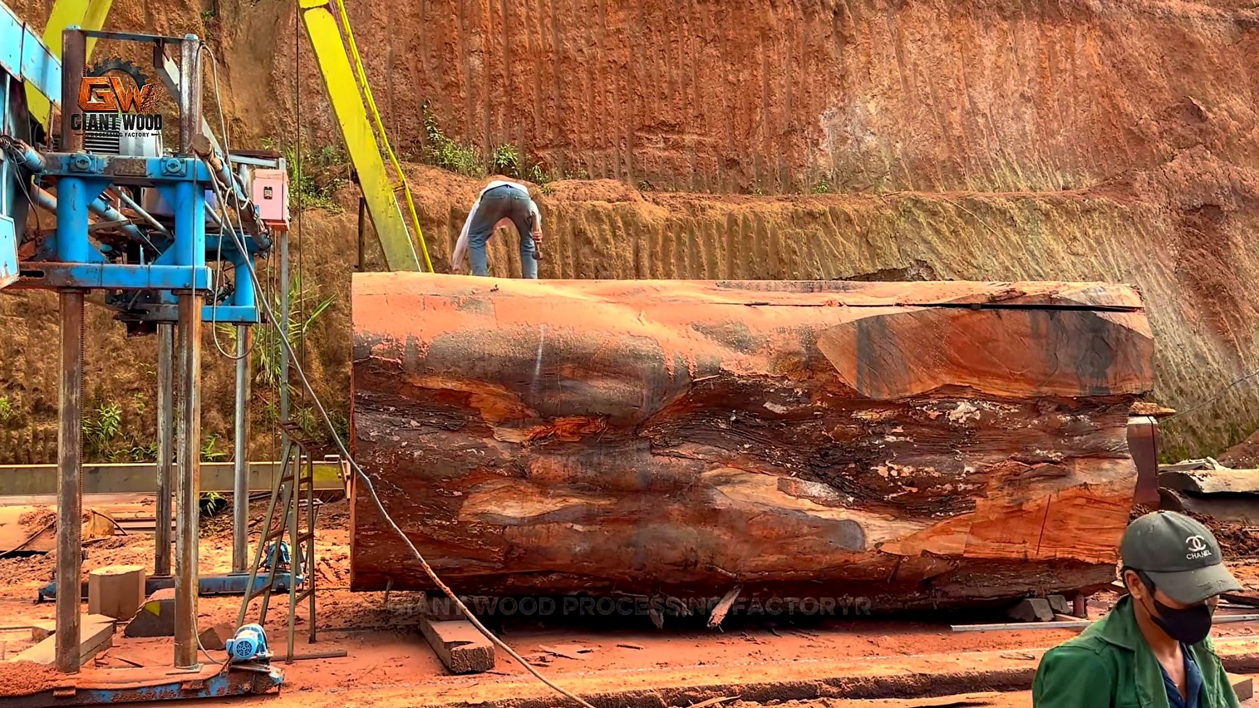 forgotten timber - the source video context before the main process is judged