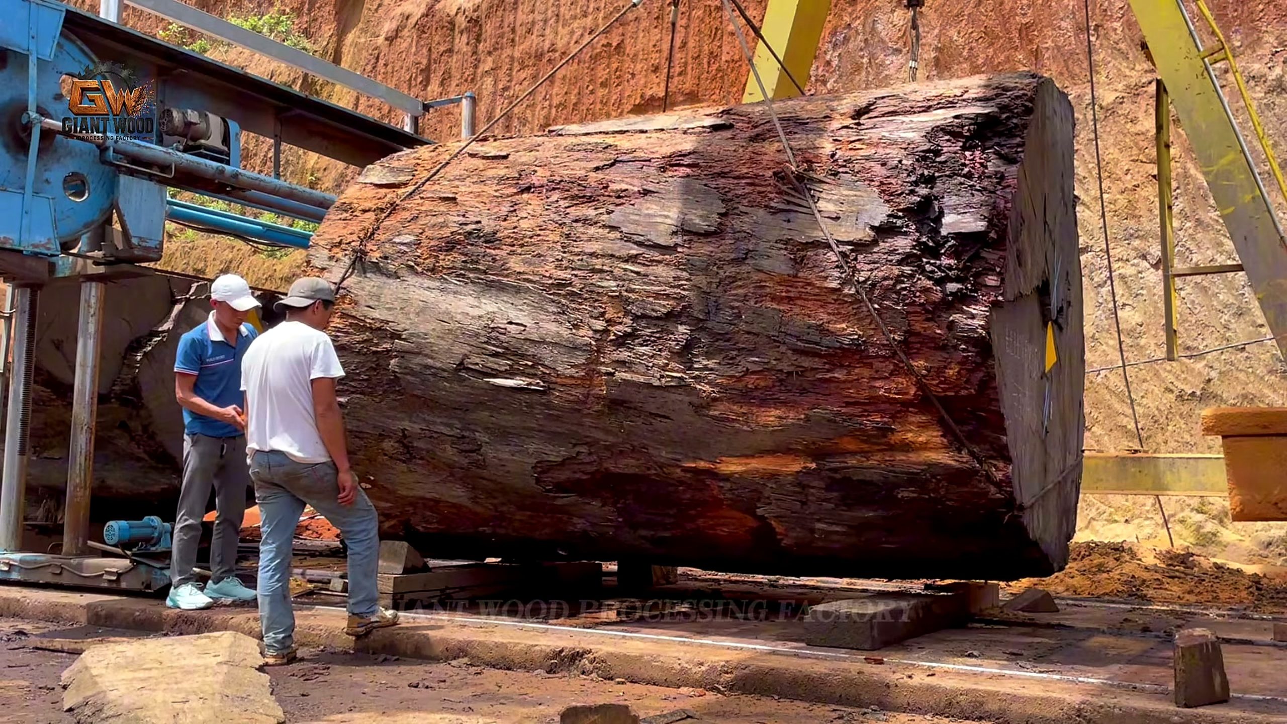 giant log - the source video context before the main process is judged