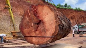 giant log - YouTube original thumbnail