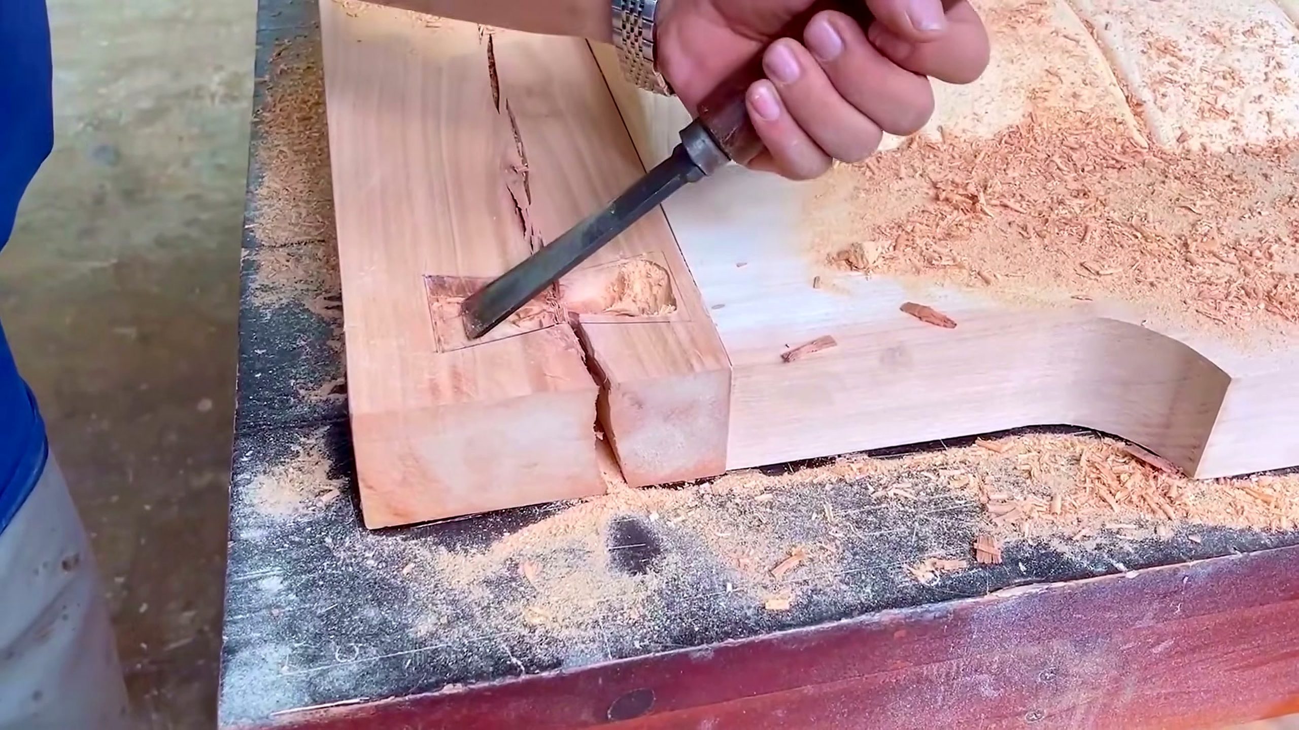 giant redwood tree - the main work stage that carries the video's practical lesson
