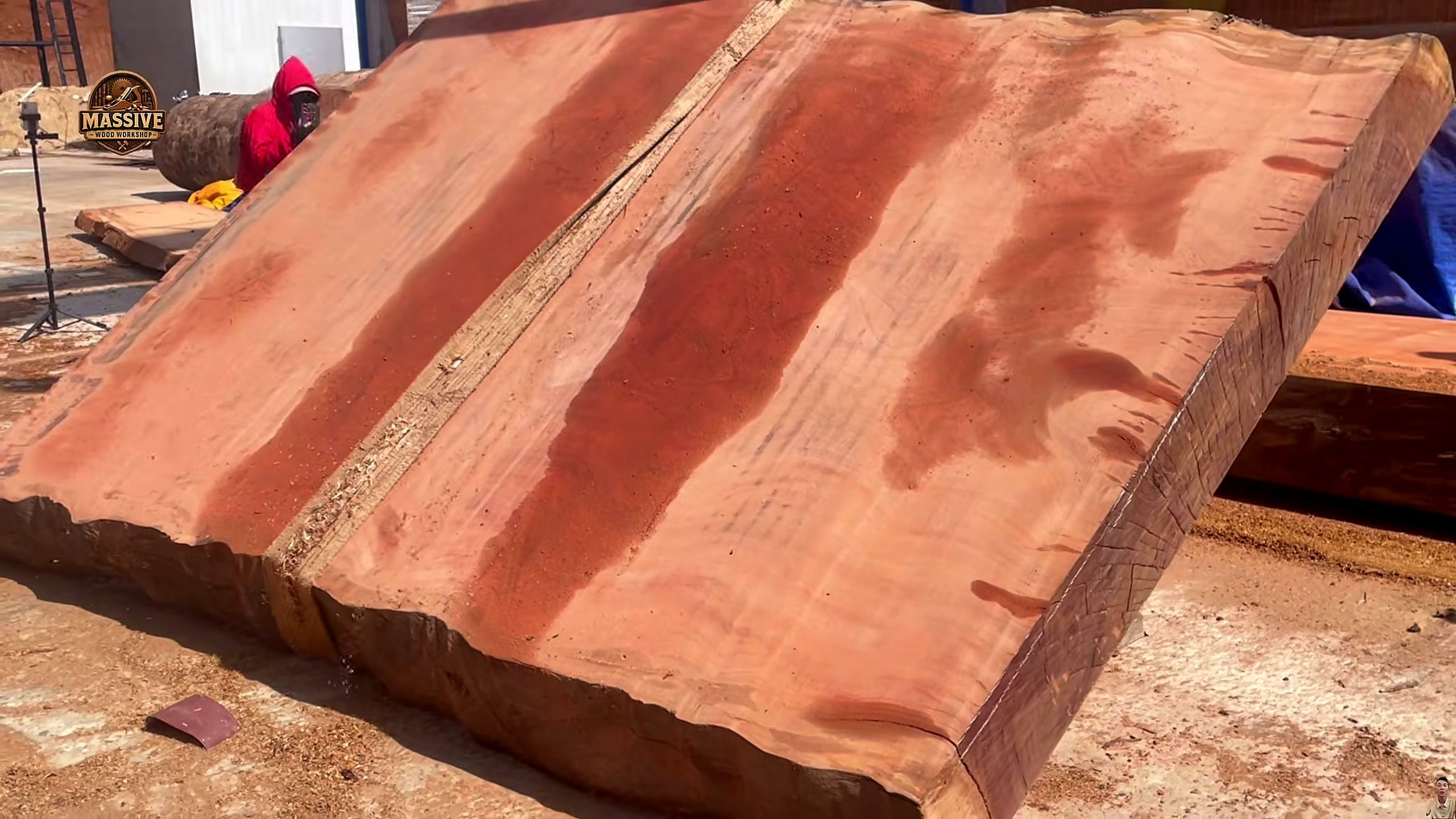 giant timber - the source video context before the main process is judged