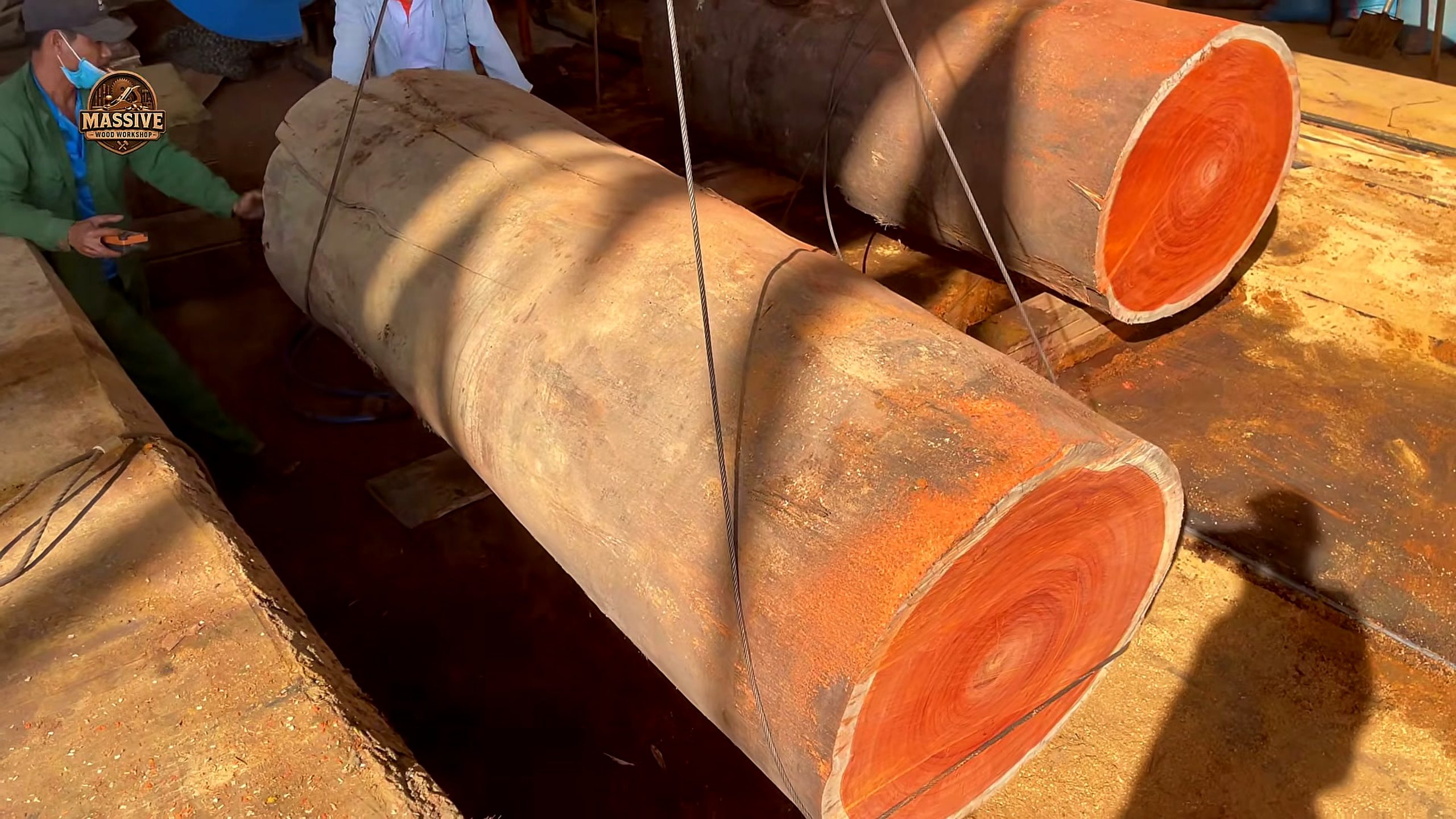 giant timber - the source video context before the main process is judged