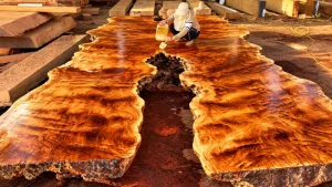 giant timber - YouTube original thumbnail