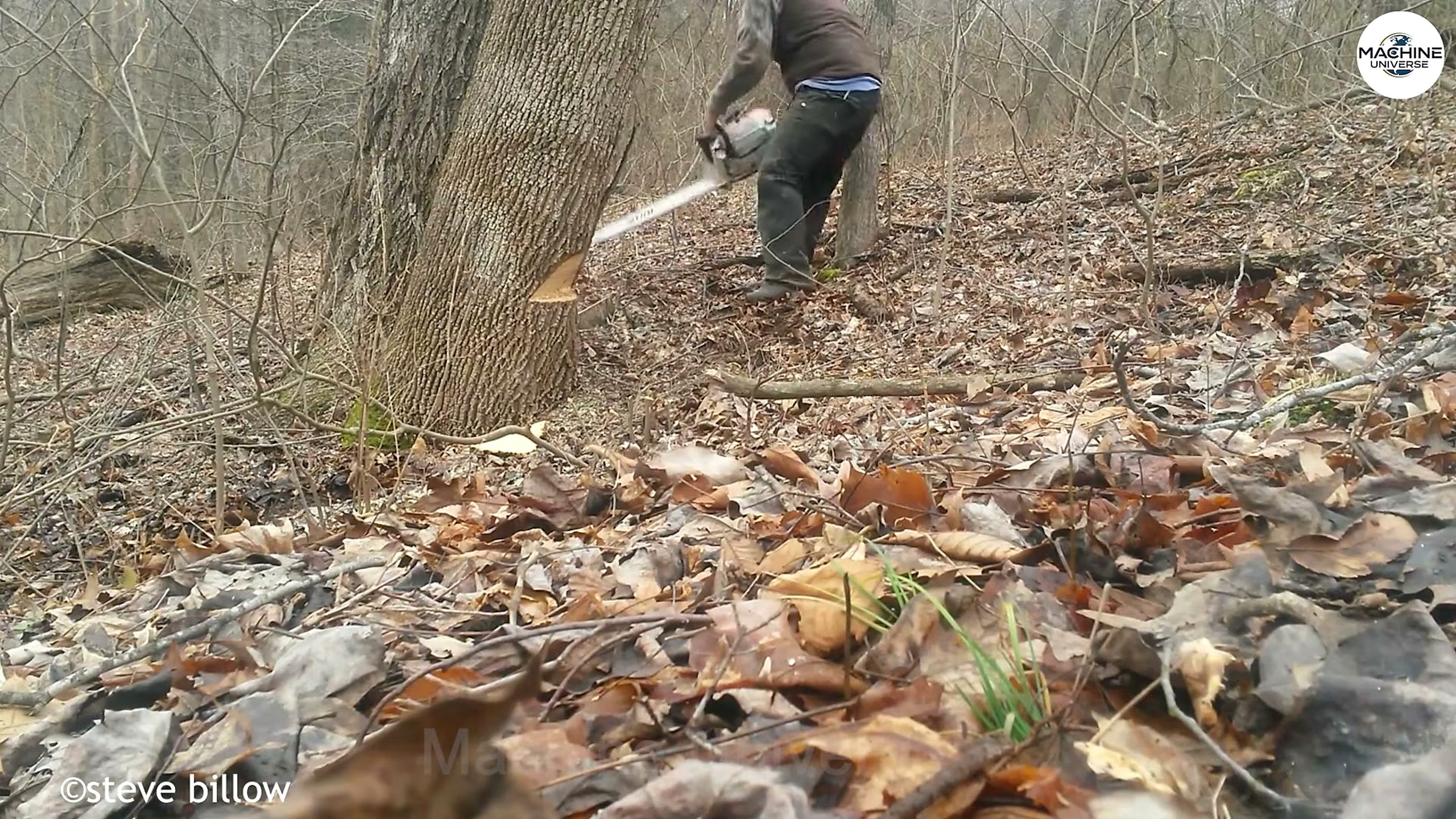 heavy-duty stump - a detail-check moment that helps readers inspect the process