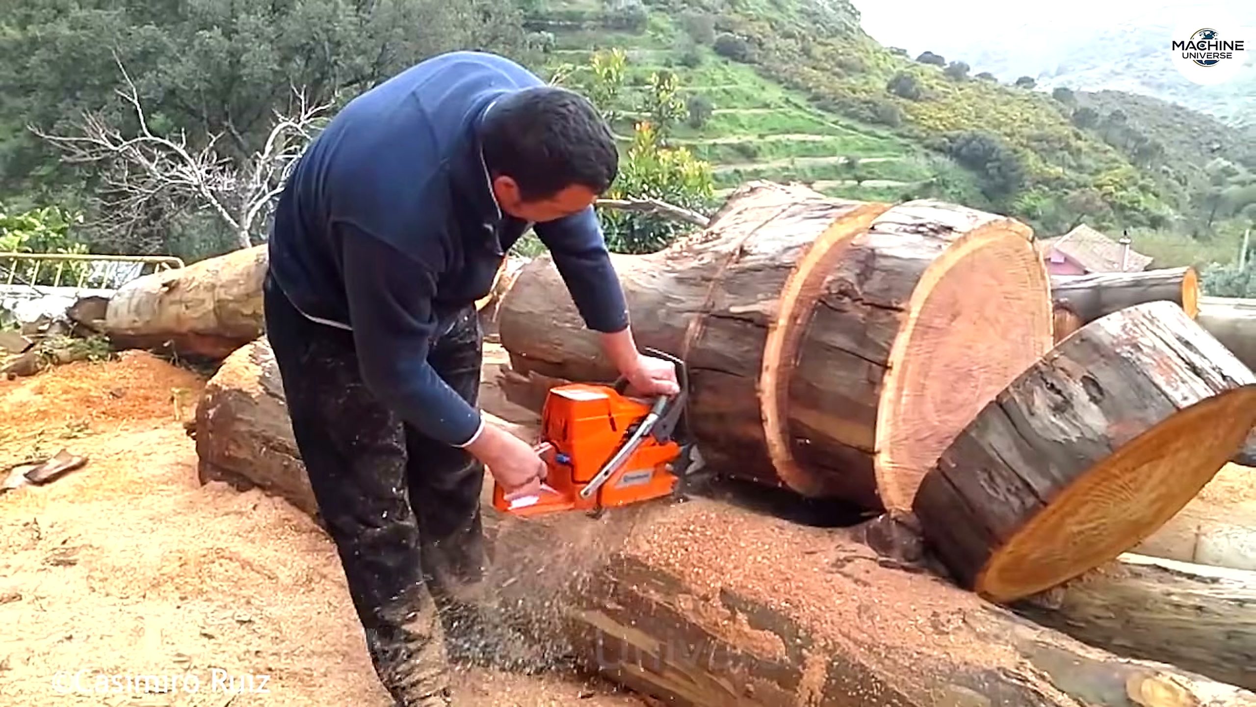 heavy-duty stump - a detail-check moment that helps readers inspect the process