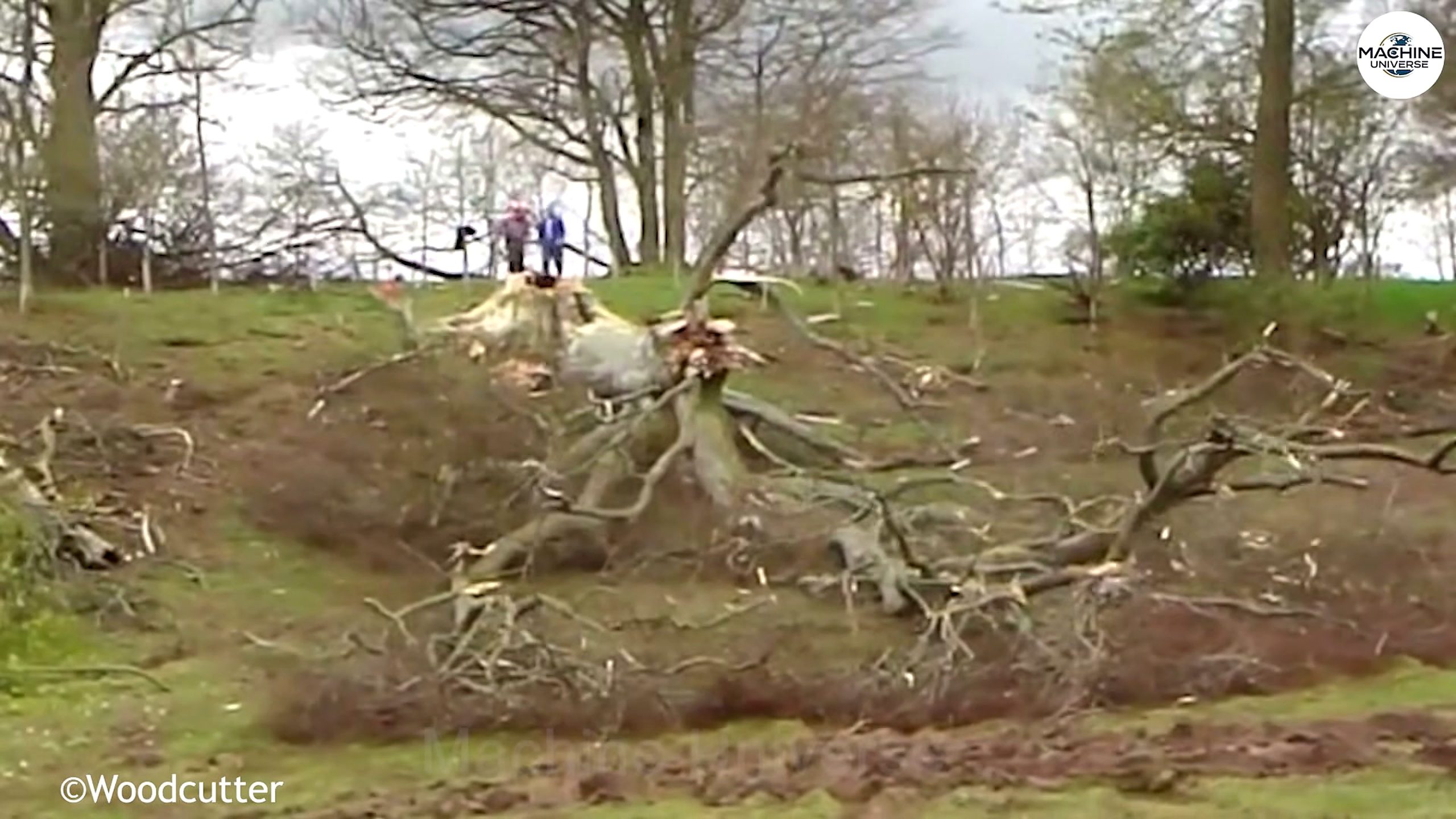 heavy-duty stump - the main work stage that carries the video's practical lesson