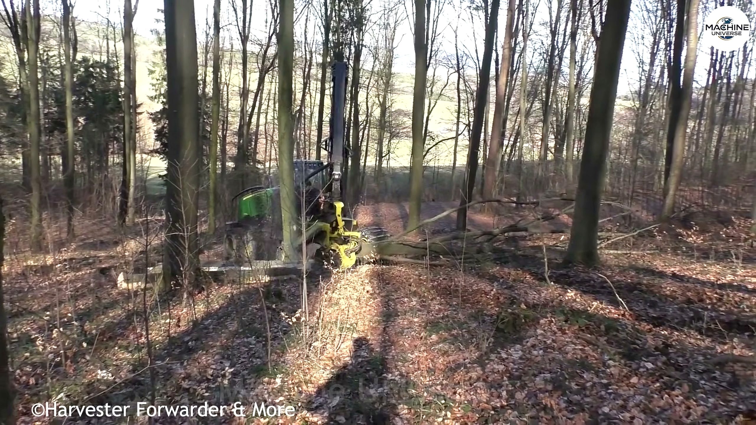 heavy-duty stump - the later review stage where the result can be evaluated