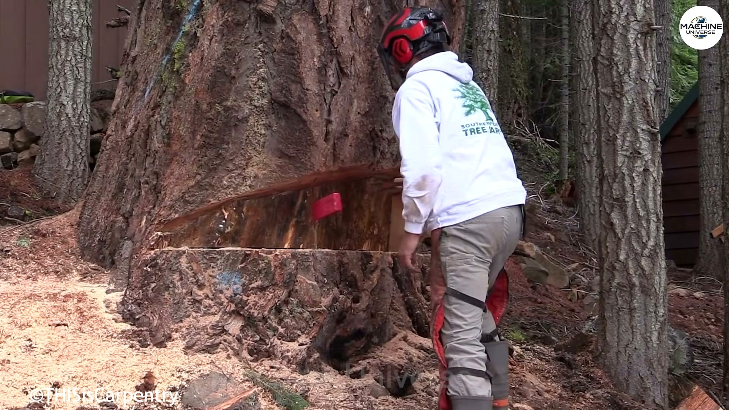 heavy-duty stump - the setup or early workflow visible in the source video