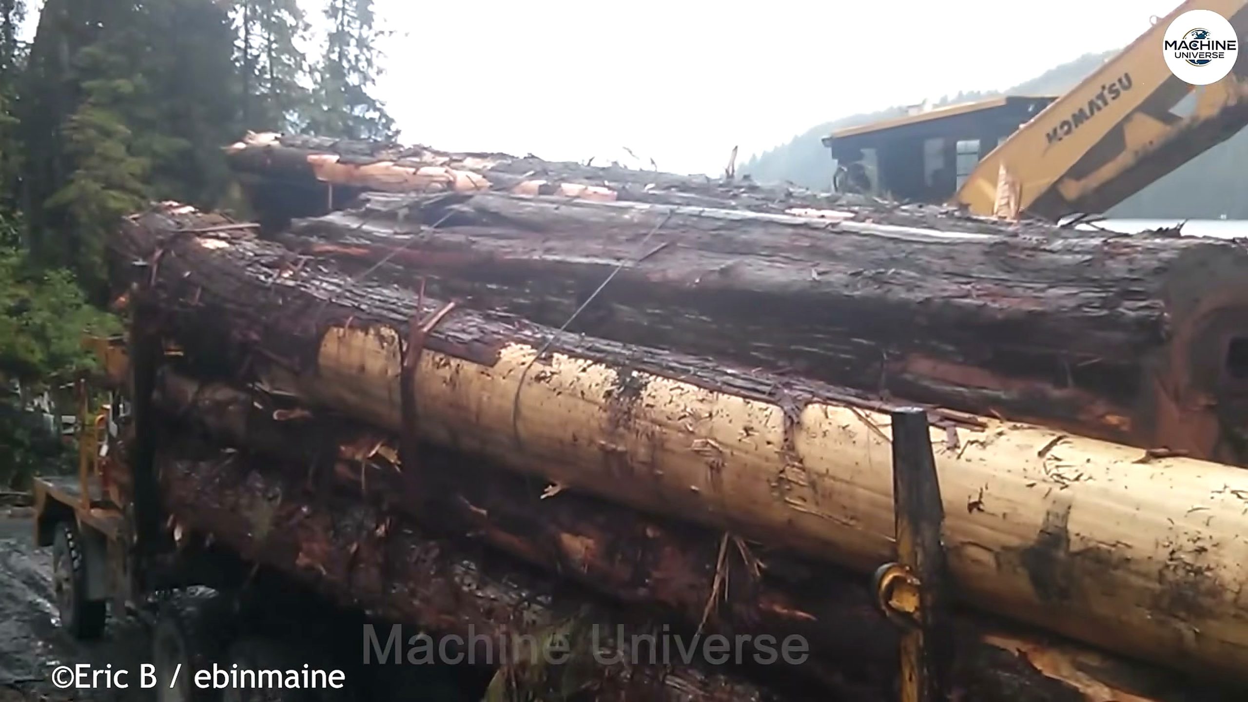 heavy-duty stump - the setup or early workflow visible in the source video
