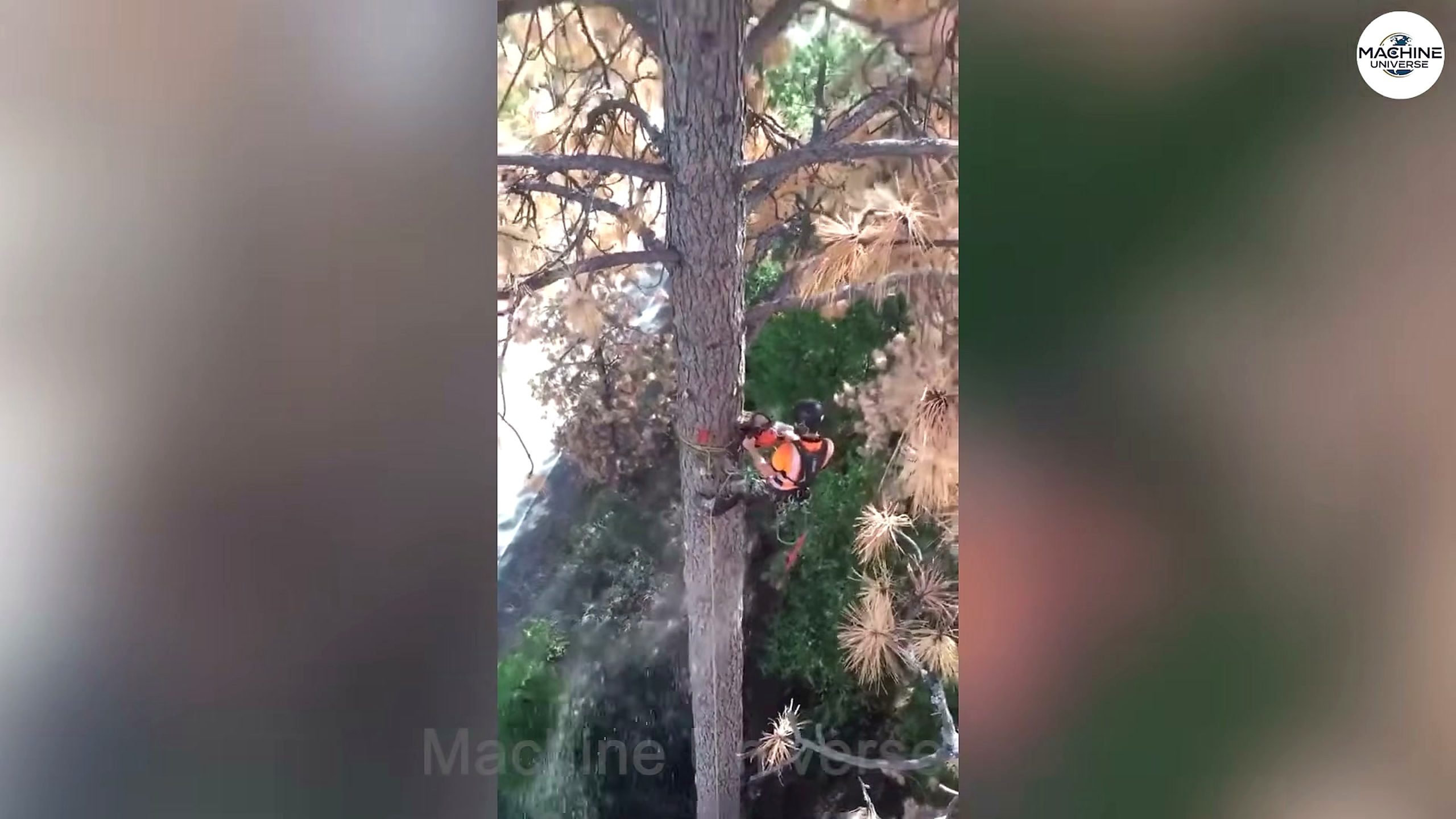 heavy-duty stump - the setup or early workflow visible in the source video
