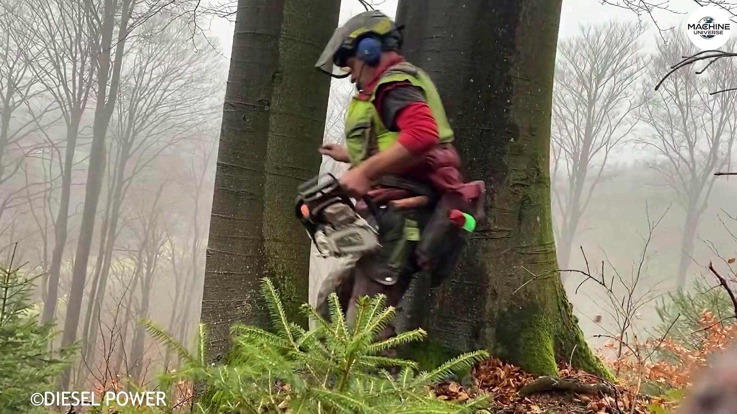 heavy-duty stump - the source video context before the main process is judged