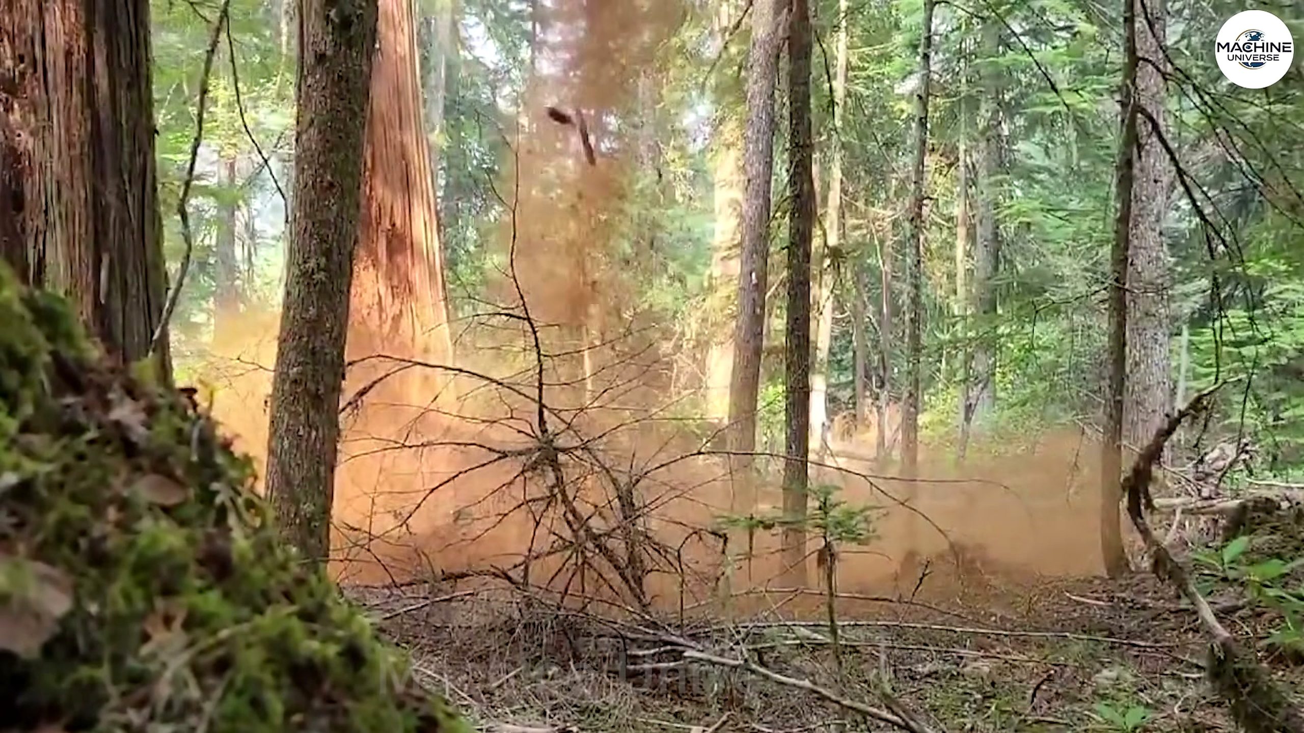 heavy-duty stump - the source video context before the main process is judged