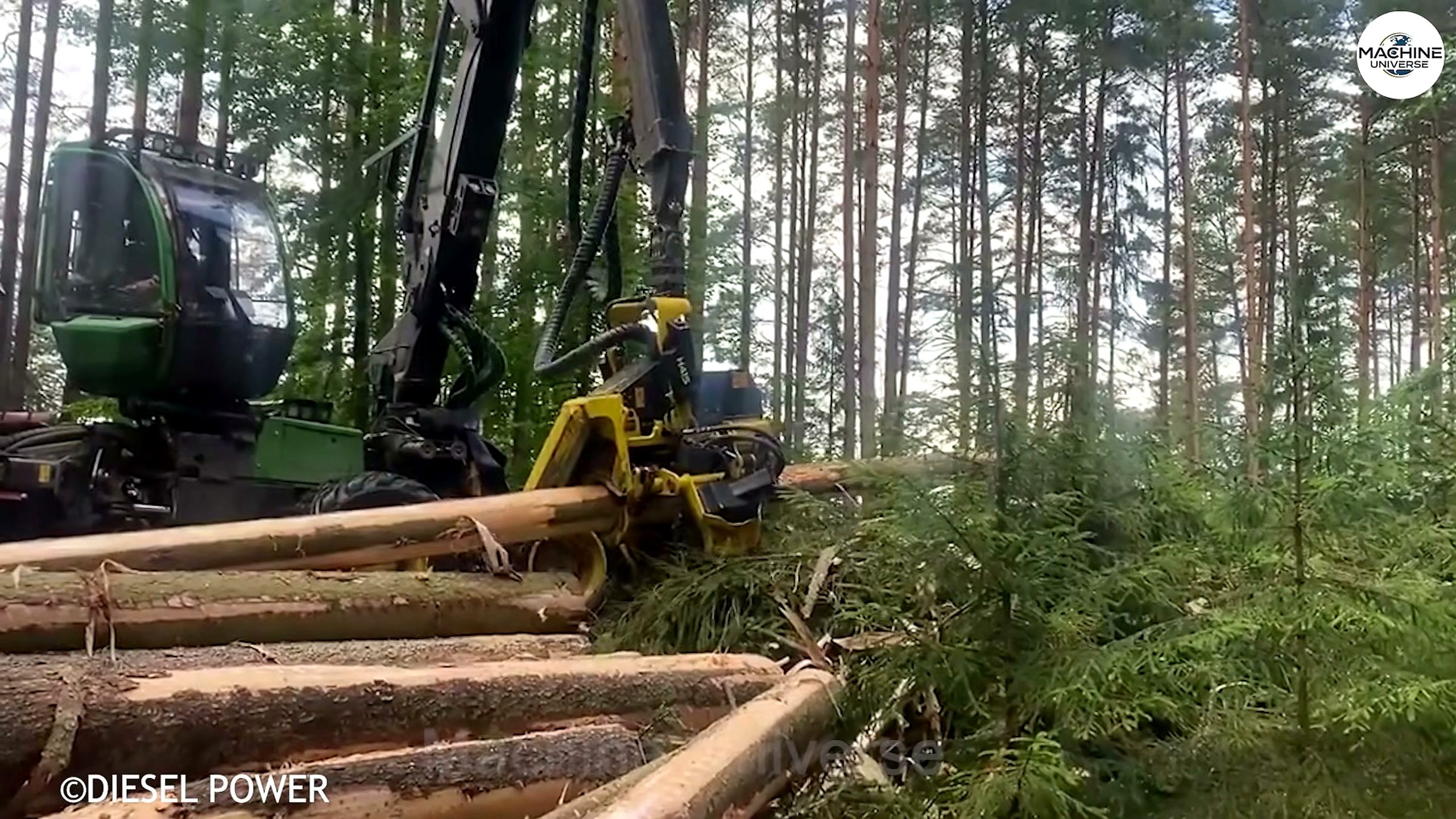 heavy-duty stump - the source video context before the main process is judged