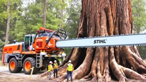 heavy-duty stump - YouTube original thumbnail