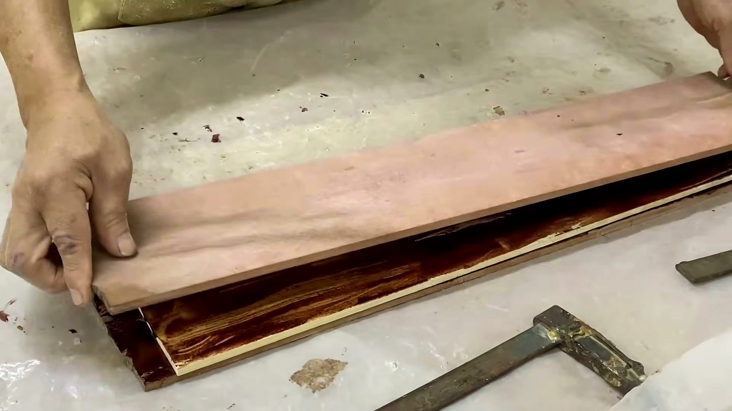 jackfruit wood - the source video context before the main process is judged
