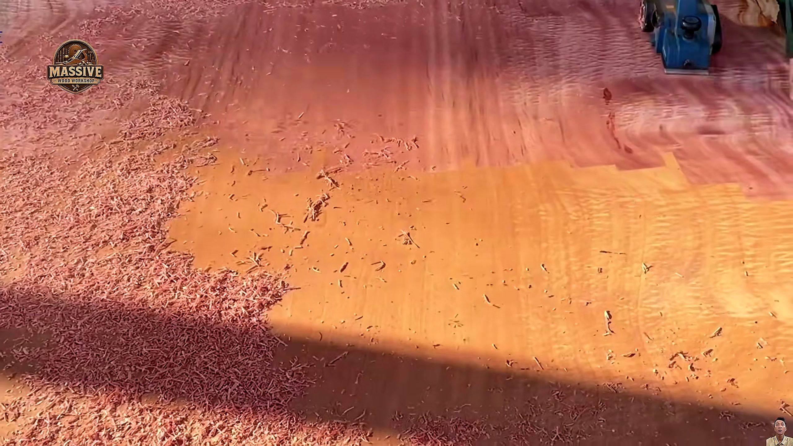 modern sawmill - a detail-check moment that helps readers inspect the process